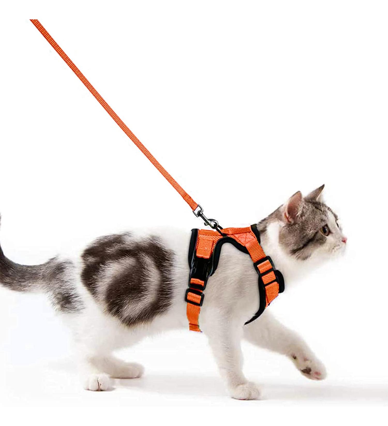 Breakproof Cat Leash Set & Adjustable Soft Kitten Vest - Reflective Stripes | Orange Small Dishes for Kittens - Buy Online on SooperMarket.com