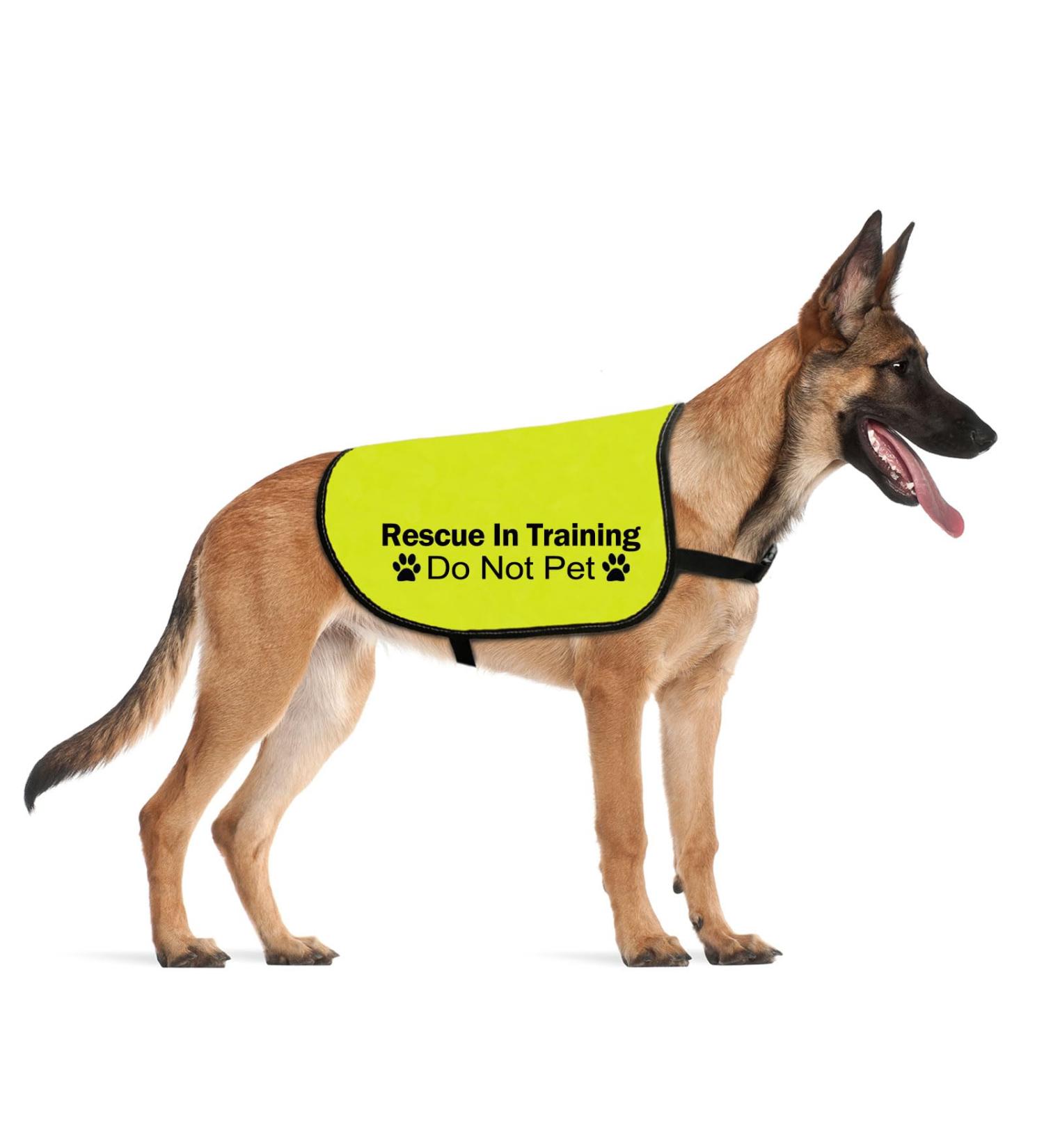 CENWA Rescue In Training Do Not Pet Dog Jacket Vest Nervous Anxious Training Dog Slogan Warning Vest (In Training Rescue M EU) - Buy Online on SooperMarket.com