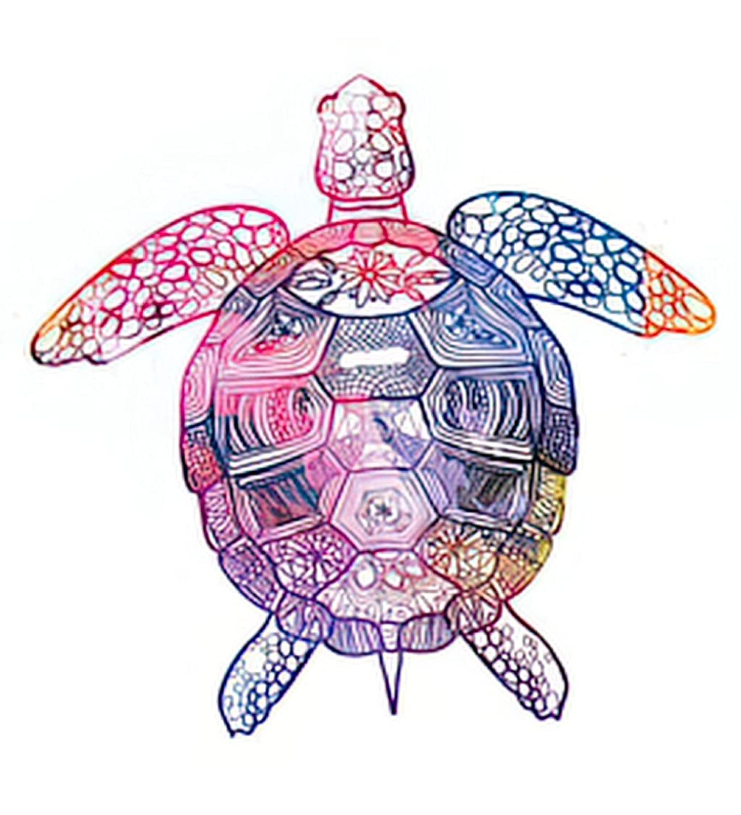 Dopetattoo Children's Sea Turtle Temporary Tattoo Set - 6 Colorful Designs for Neck, Arm, Chest - Kids and Adults - Buy Online on SooperMarket.com