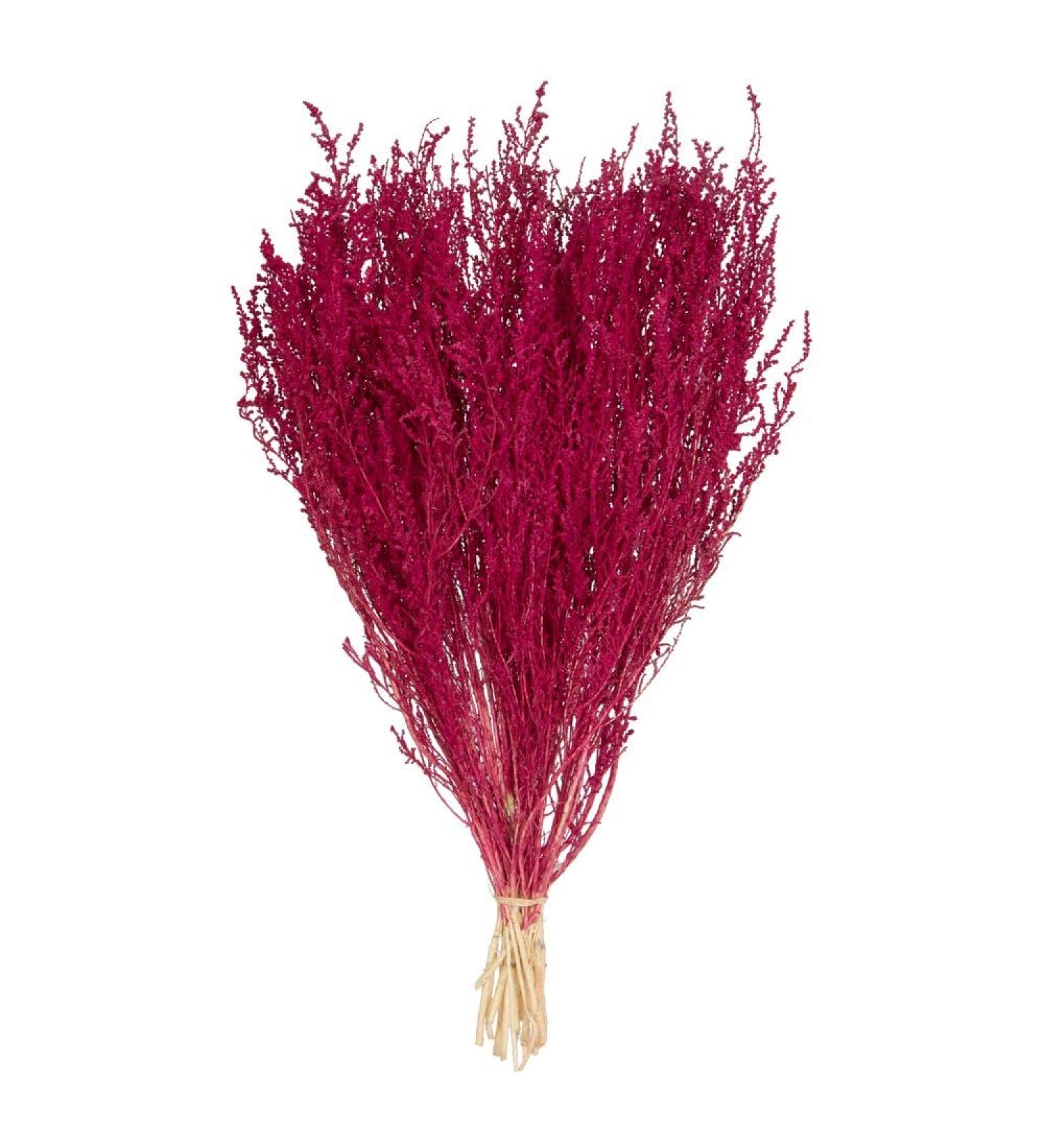 Vickerman 14-18" Raspberry Stoebe Bundle. Comes 3.5 oz per Bundle.