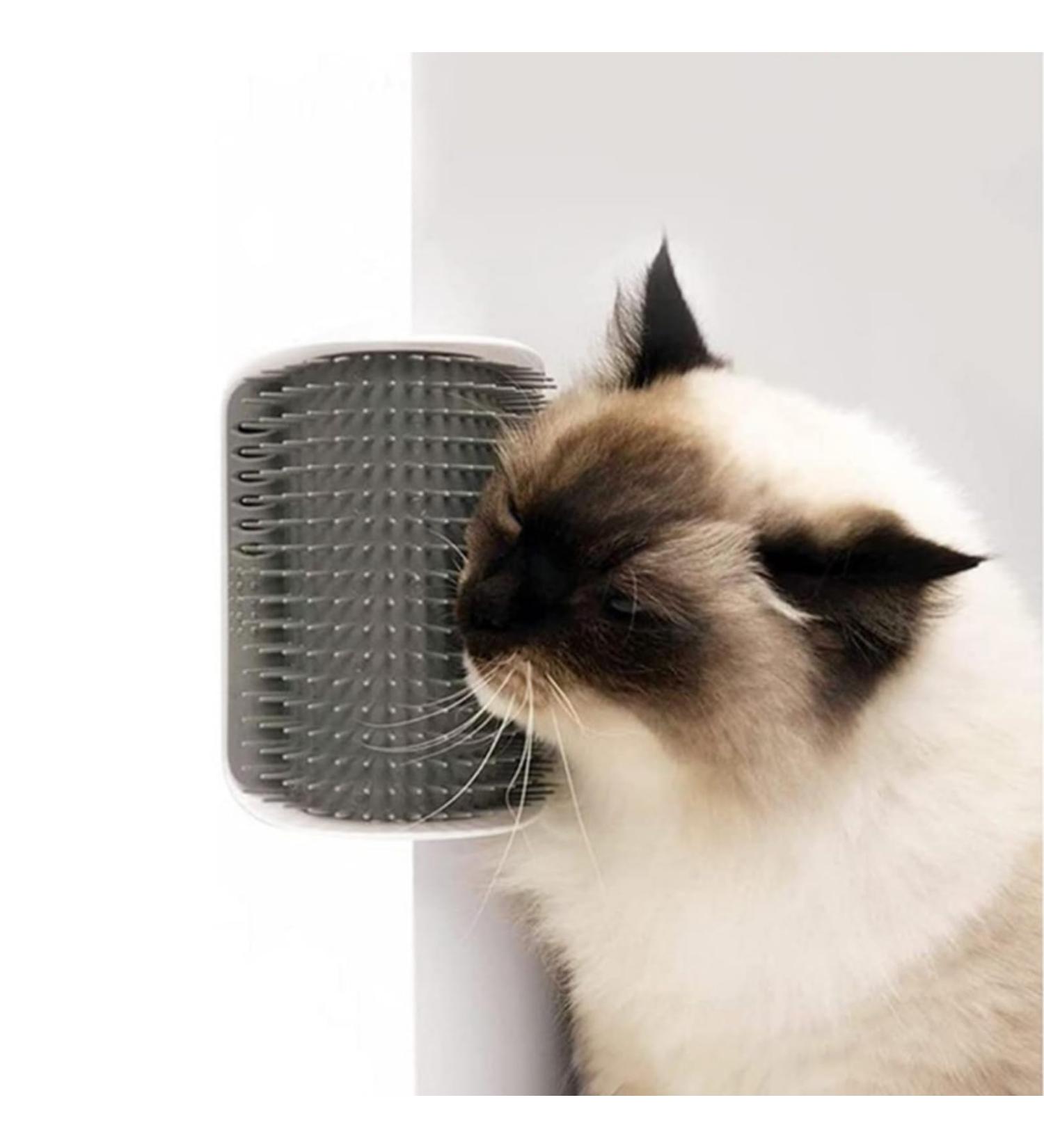 Cat Self Groomer Wall Corner Massage Comb for Long & Short Fur Cats - Grey - Buy Online on SooperMarket.com
