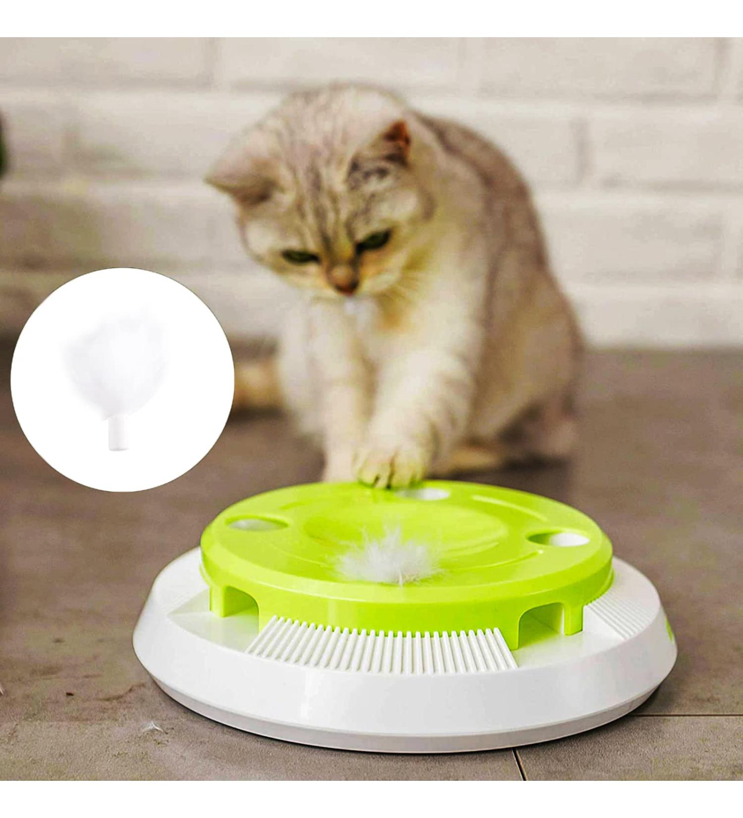 Pettom Interactive Cat Toy | Electric Butterfly Funny Exercise Toy for Kittens | Rotating Pop N Play Toy with Replacement Feathers | Green - Buy Online on SooperMarket.com