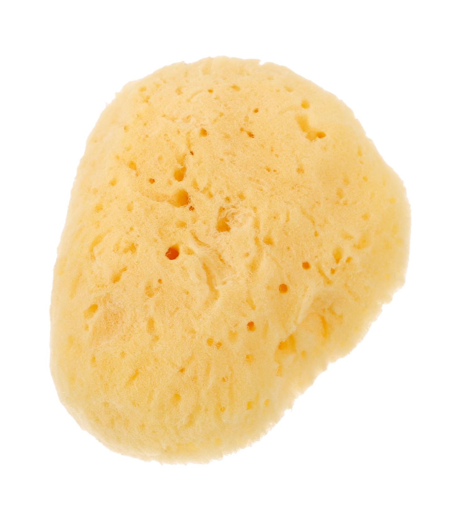 FOYTOKI Natural Sponge Greece Facial Cleansing Sponge Face Sponges for Cleansing and Exfoliating Face Cleansing Pads Facial Sponges for Women Face Sponge for Washing Face Cleansing Sponges - Buy Online on SooperMarket.com