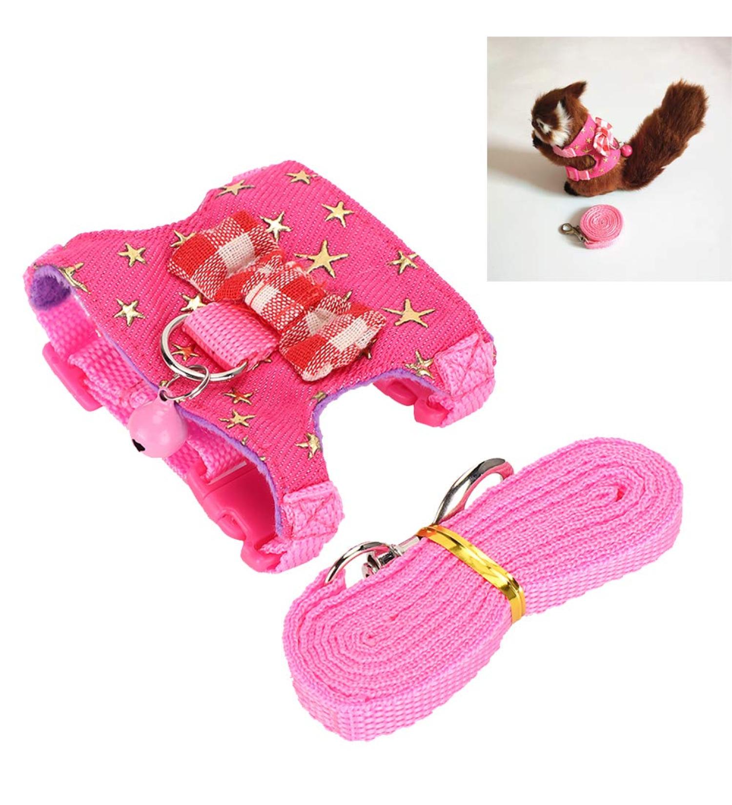 Small Animal Dishes & Leash Set for Squirrels Hamsters Ferrets & Guinea Pigs | Perfect Pet Accessories - Buy Online on SooperMarket.com