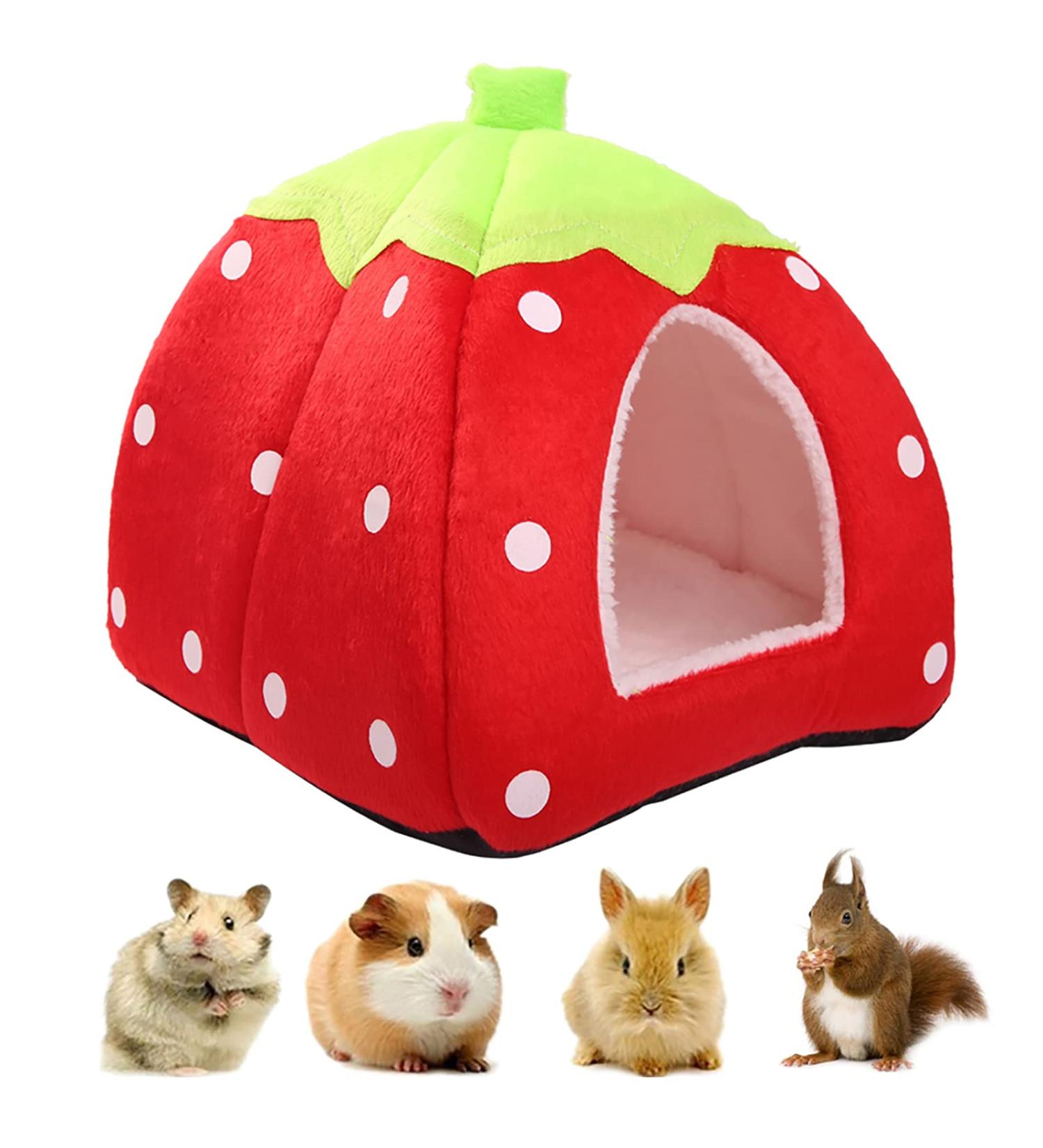 Kuoser Small Animal Winter House | Non-Slip Strawberry Hedgehog Bed | Removable Pad | Guinea Pig, Hamster, Chinchilla, Ferret, Rabbit House - Buy Online on SooperMarket.com
