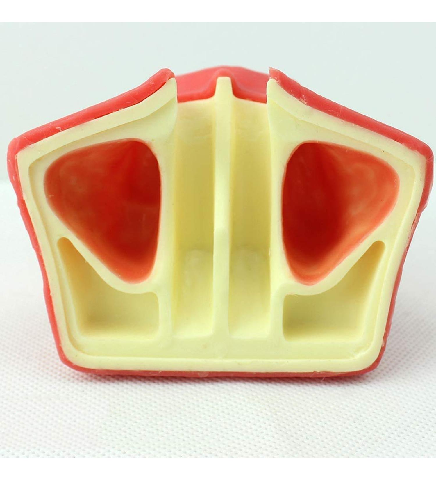 LBYLYH Dental Oral Model & Jaw Implant Surgical Model - Breast Lift Operation Training Tool - Buy Online on SooperMarket.com