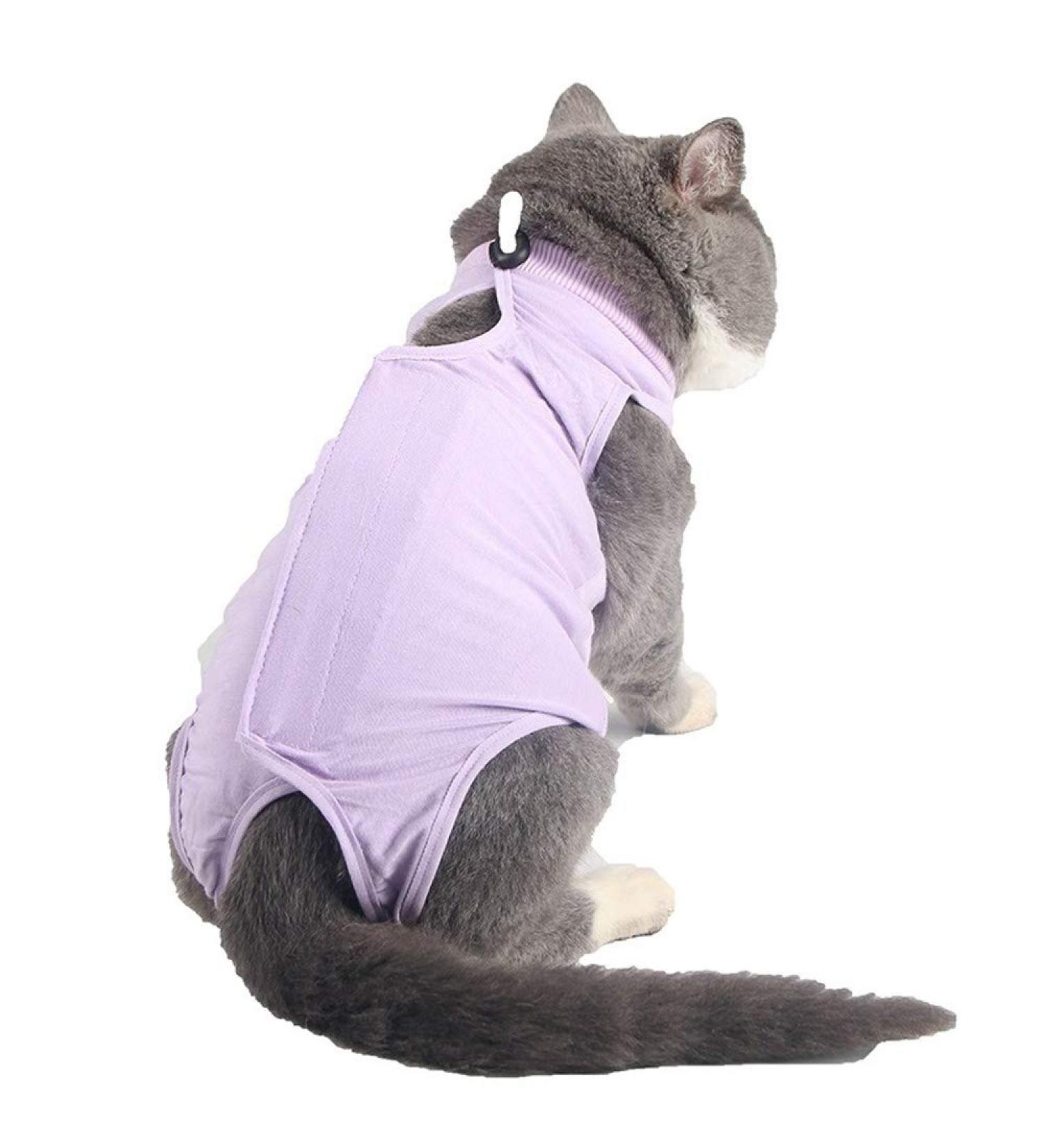 BT Bear Cat Professional Surgical Recovery Suit Cat Clothes for Abdominal Wounds or Skin Diseases (M Purple) 1.36 kg (Pack of 1) Purple - Buy Online on SooperMarket.com