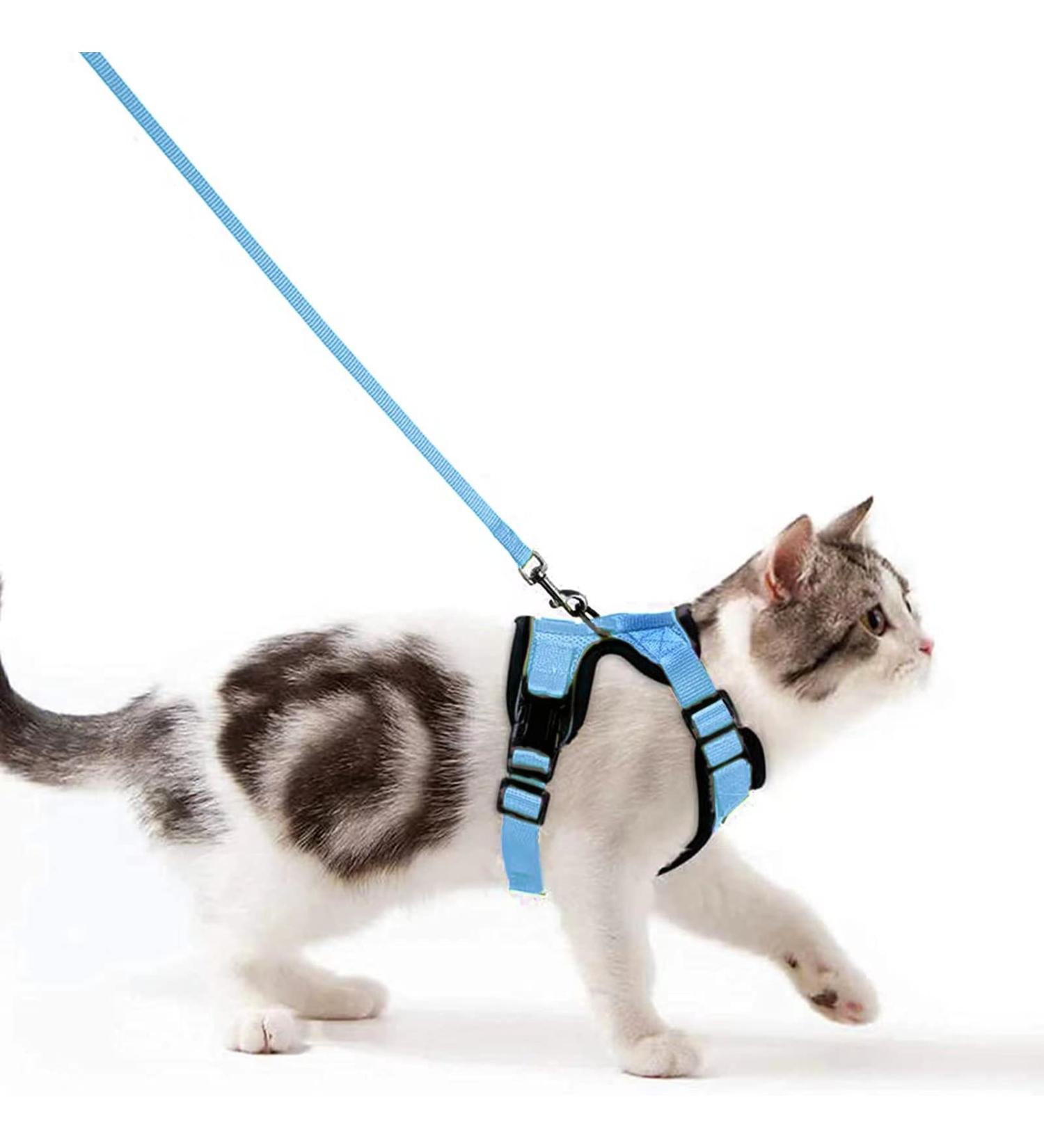Breakproof Cat Leash Set & Adjustable Soft Kitten Vest - Reflective Stripes - Light Blue - Perfect for Small Kittens - Buy Online on SooperMarket.com