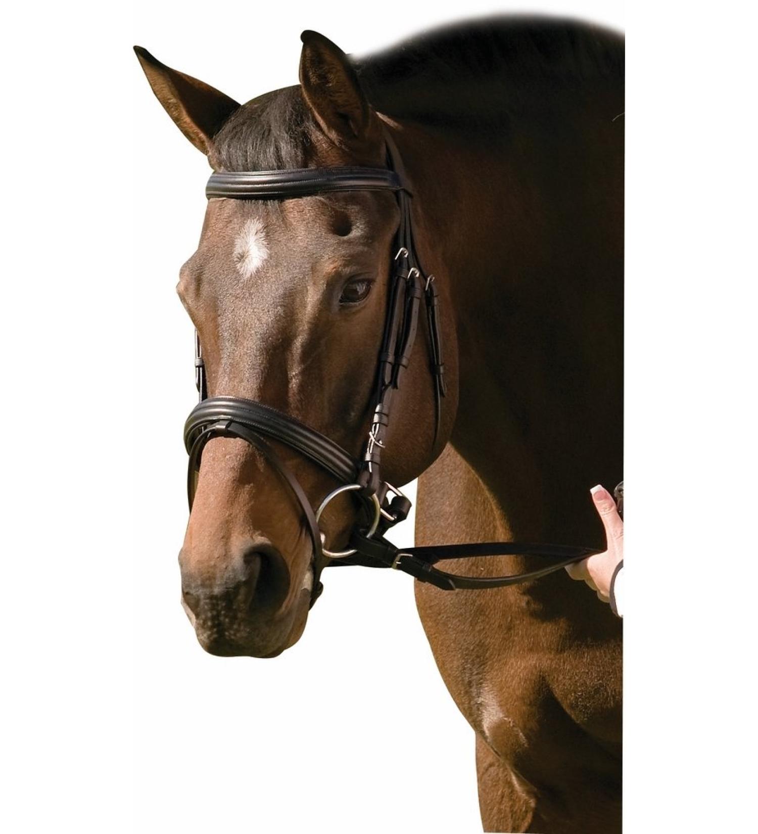 Henri de Rivel Black Padded Raised Dressage Bridle with Crank Noseband for Horse - Buy Online on SooperMarket.com