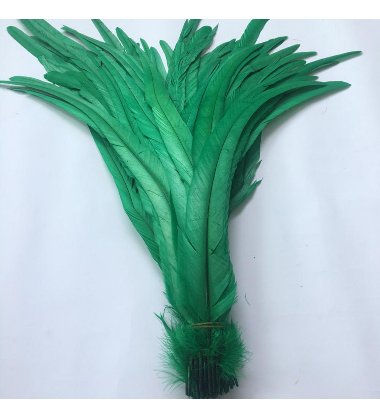 Shekyeon 16-18inch 40-45cm Rooster Coque Tail Feather for Costume Decoration Pack of 20 (Dark Green)