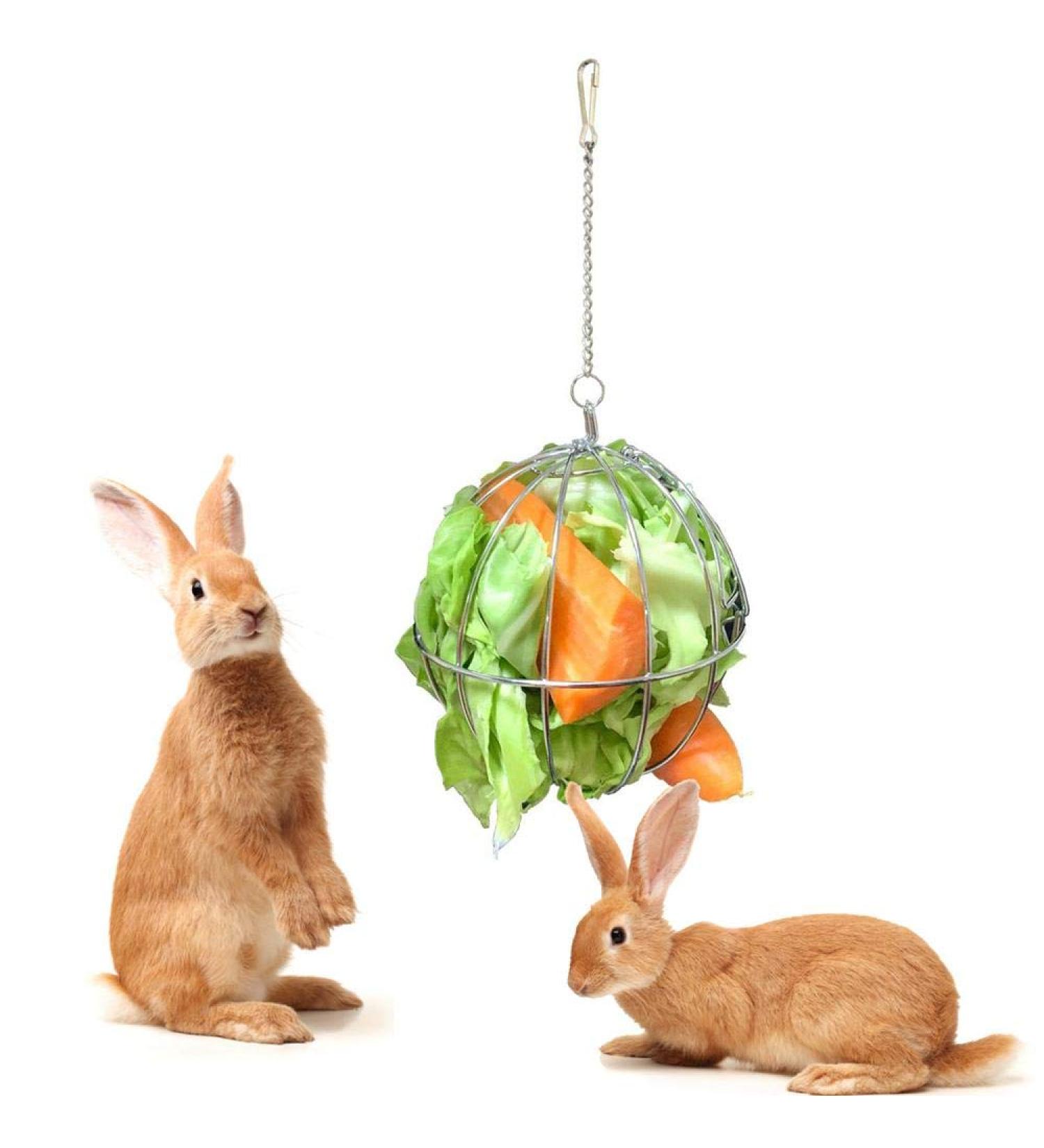 Fewao Stainless Rabbits Feeding Grass Ball Sphere Treat Hay Feeder Dispenser Hanging Ball Rabbit Chinchilla Guinea Pig Chicken Toys for Small Animals - Buy Online on SooperMarket.com