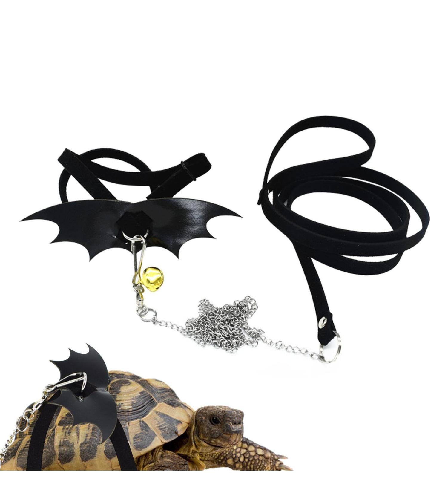 Shop Small Pet Dishes for Turtles & Lizards | Stylish Accessories & Vest | Virtcoy Medium - Buy Online on SooperMarket.com