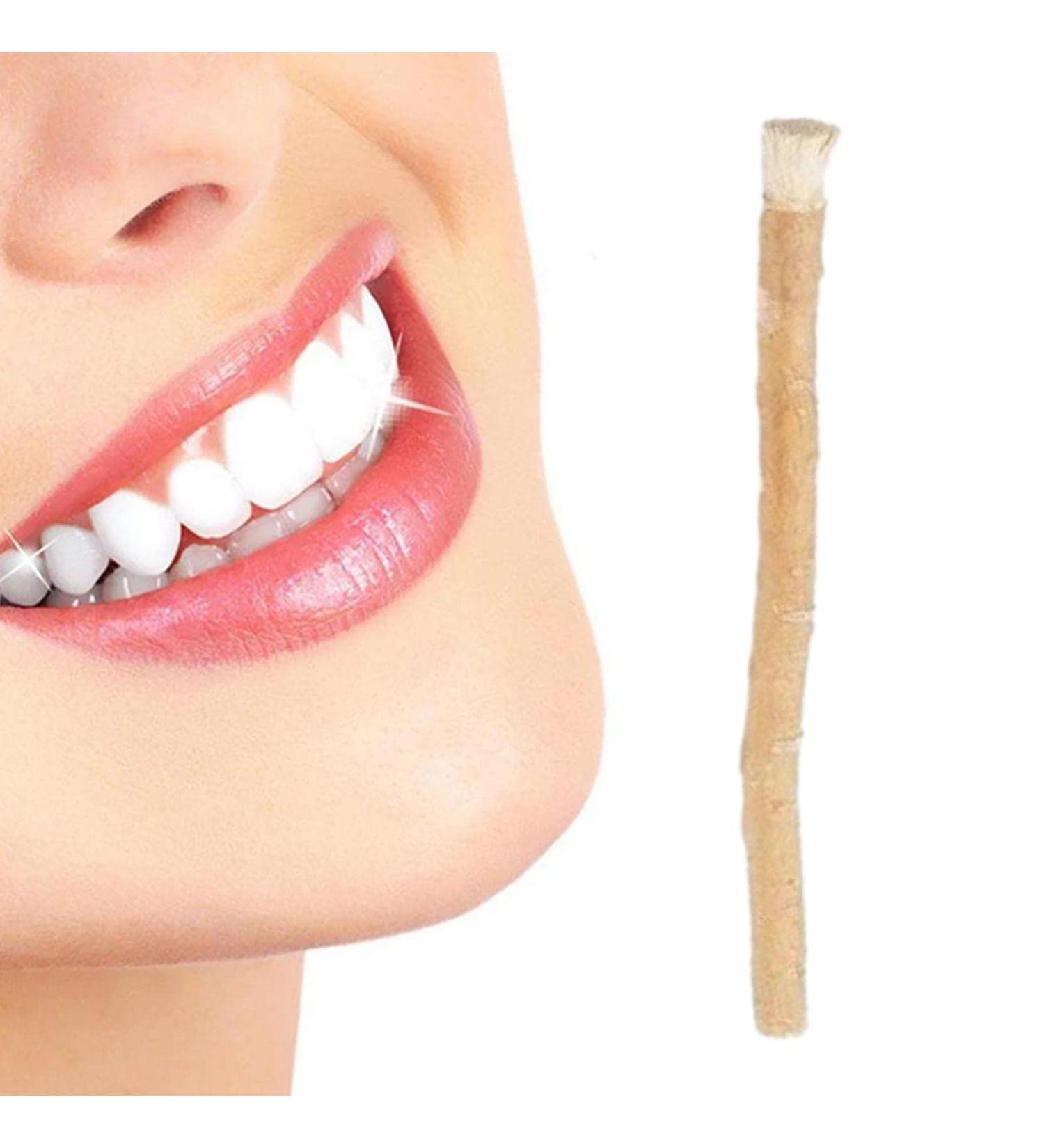 Hudhowks Mis-WAK Stick Traditional Natural Mis-WAK Toothbrush Ancient Cleaning Teeth Brushing Stick Breath Freshener Mis-WAK Stick from Middle East for Human Teeth Stain Removal & Fresher Breath - Buy Online on SooperMarket.com