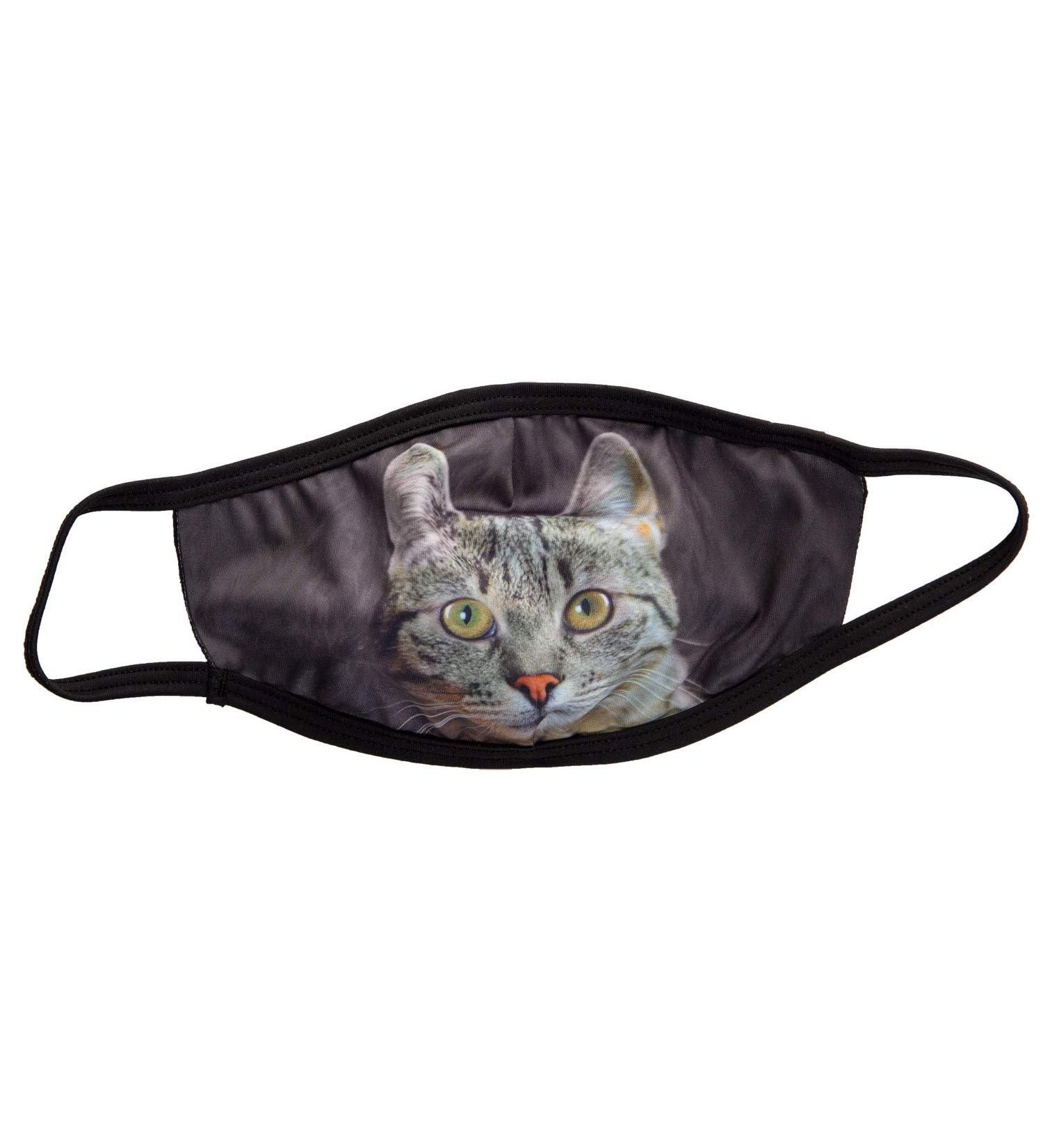 Cute Assorted Cat Face Mask - 3 Pack Tabby - Buy Online on SooperMarket.com