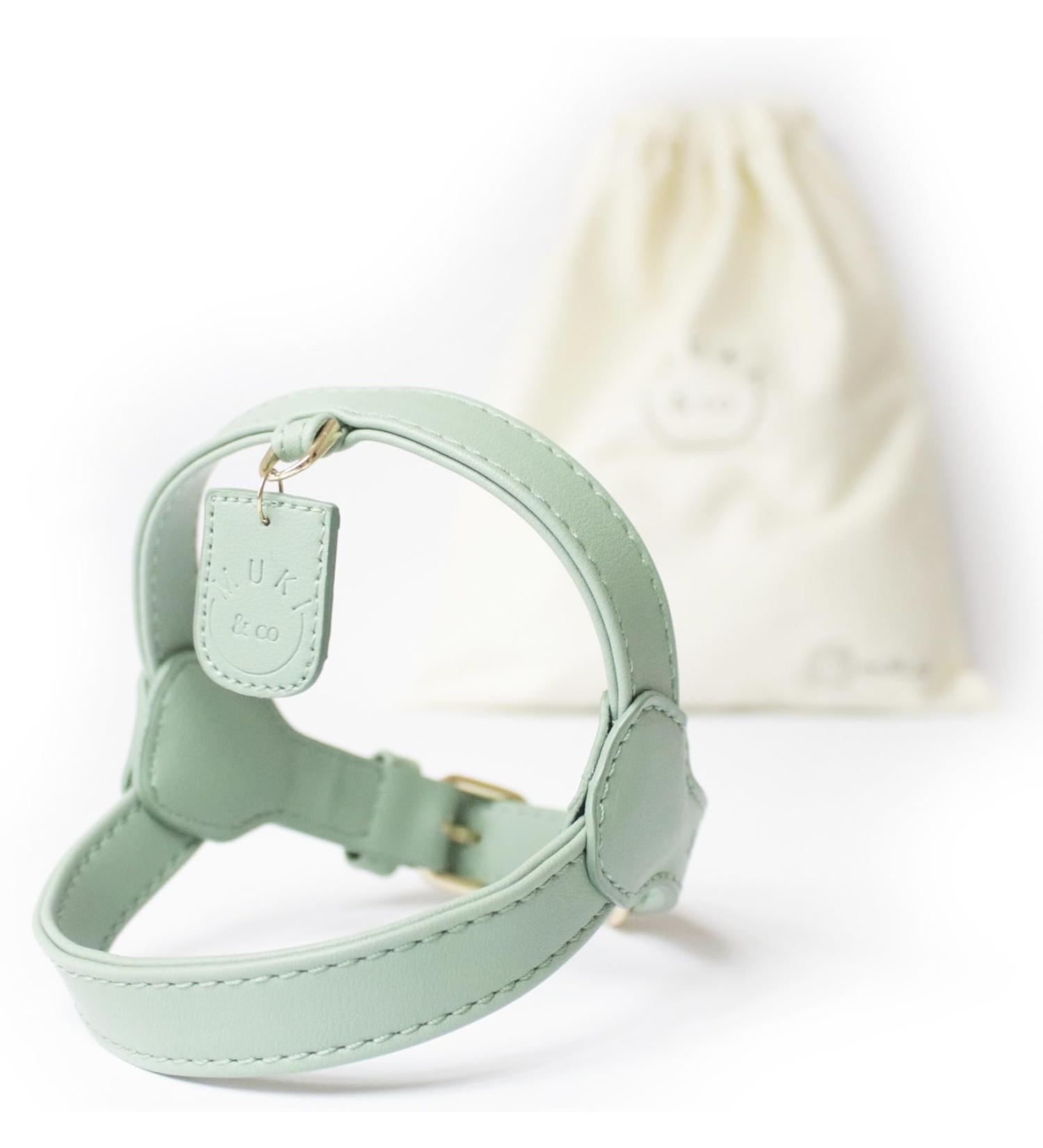 Muki & Co Double Dog Dishes - Adjustable Mint Green - Safe & Comfortable for Extra Small Small & Medium Dogs (Size S 38-45 cm) - Buy Online on SooperMarket.com