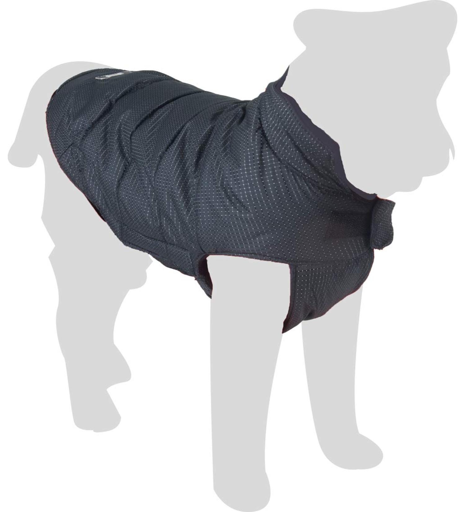 Buy Nordic Dog Jacket 40cm - Premium Winter Coat for Dogs | International Shipping Available - Buy Online on SooperMarket.com