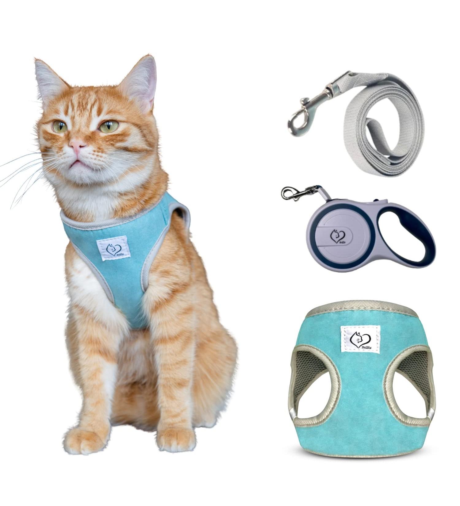 Belffy Cat Dishes & Automatic Leash Set for Cats Kittens Puppies | Outbreak-proof Jacket for Small Medium & Large Pets (Medium Blue) - International Shipping - Buy Online on SooperMarket.com