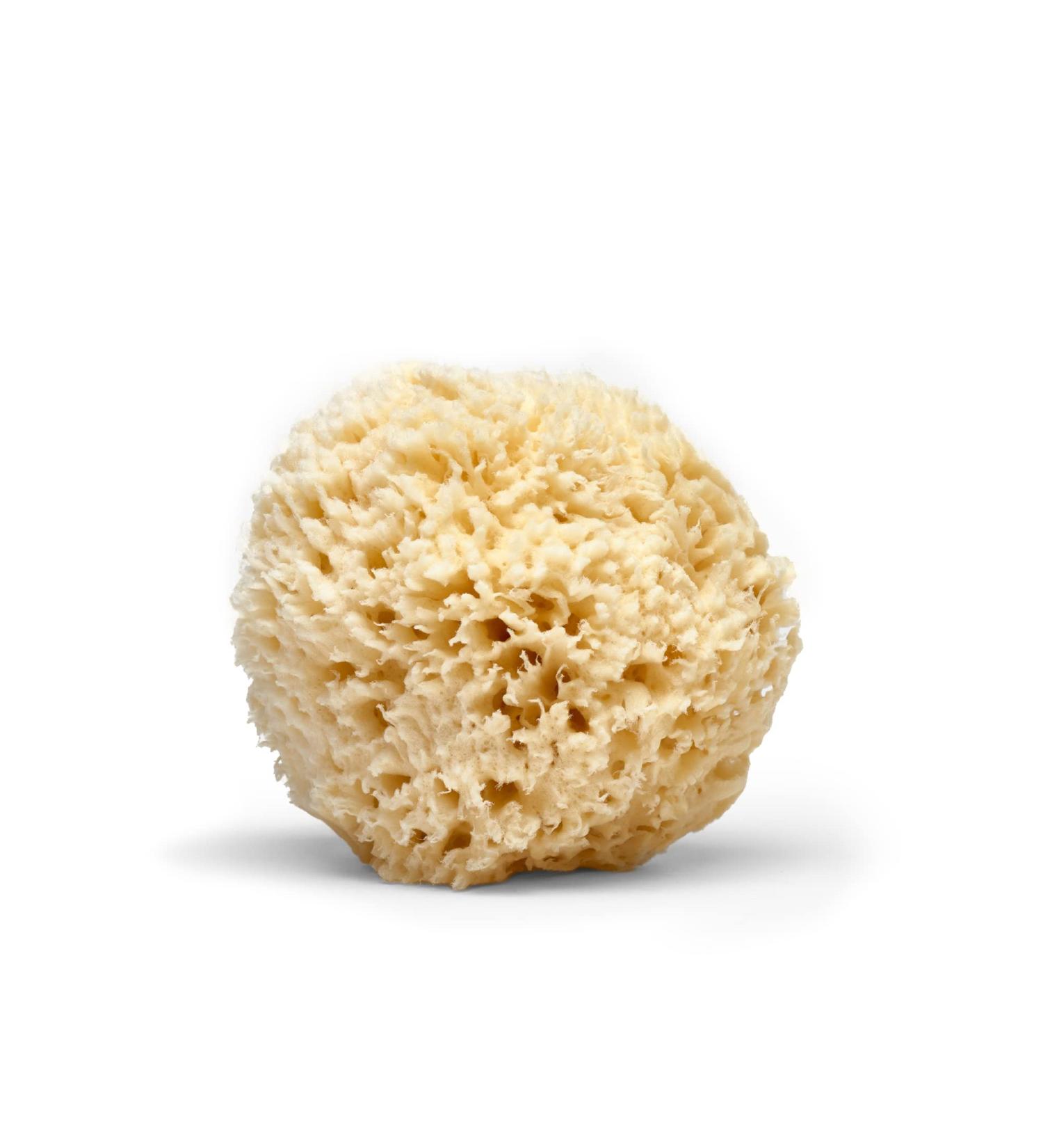 LATHER Natural Sea Wool Sponge - Large Bath and Shower Loofah for Self Care and Body Wash - Buy Online on SooperMarket.com