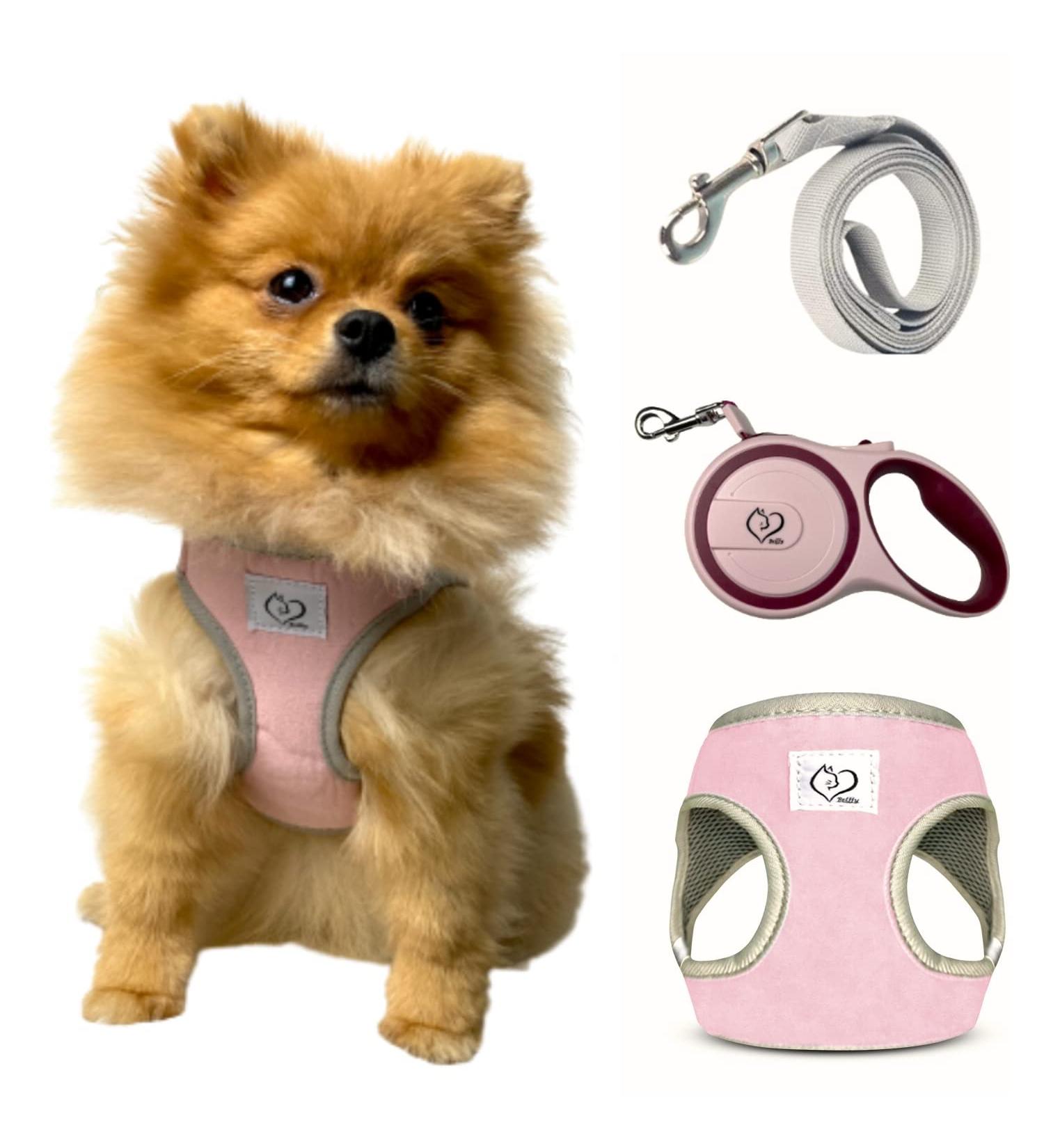 Buy Belffy Cat Dishes & Leash Set - Automatic Leash for Cats Kittens & Dogs - Stylish Pink Jacket for All Pets - Buy Online on SooperMarket.com