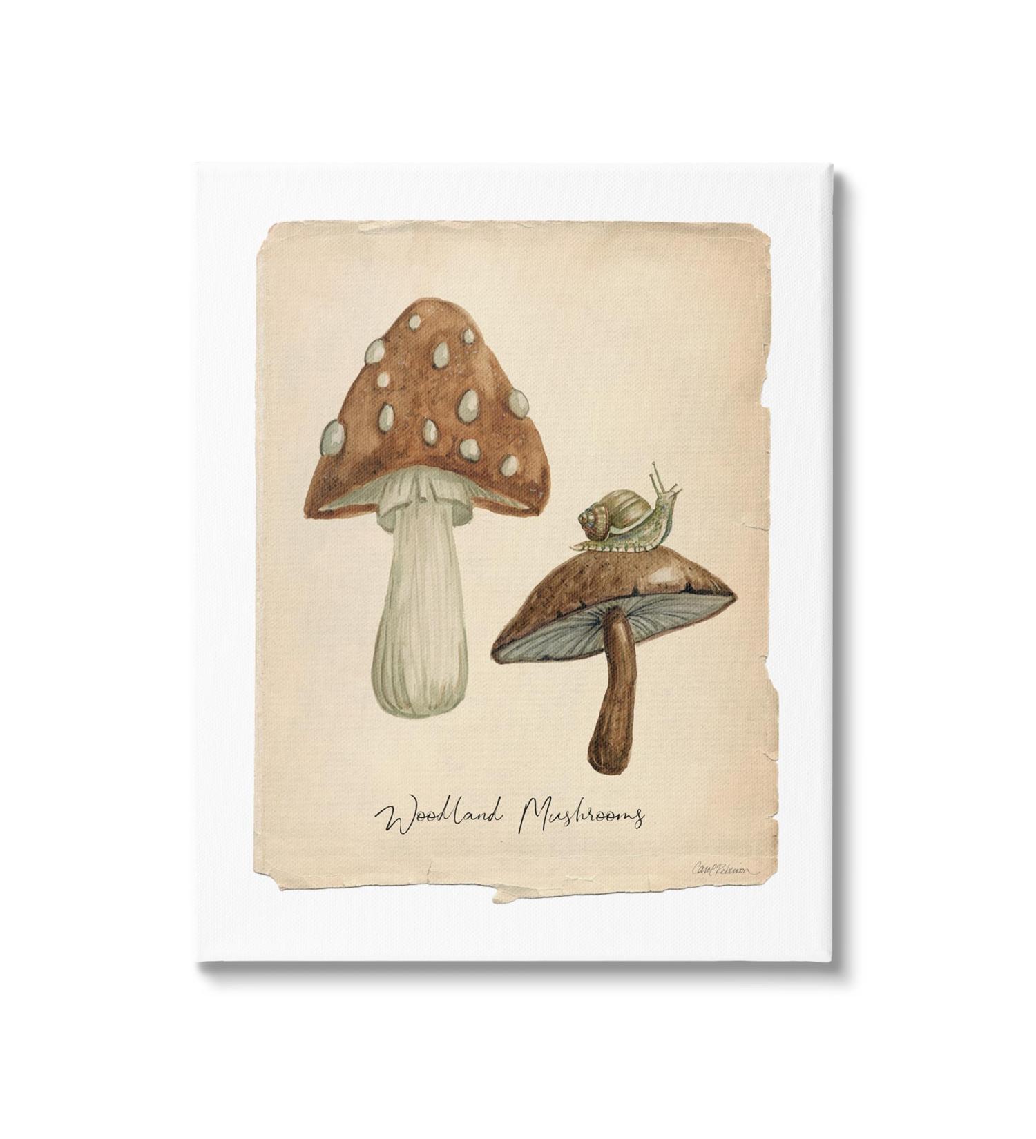 Stupell Industries Woodland Mushrooms & Snail Canvas Wall Art by Carol Robinson 24 x 30 - Buy Online on SooperMarket.com