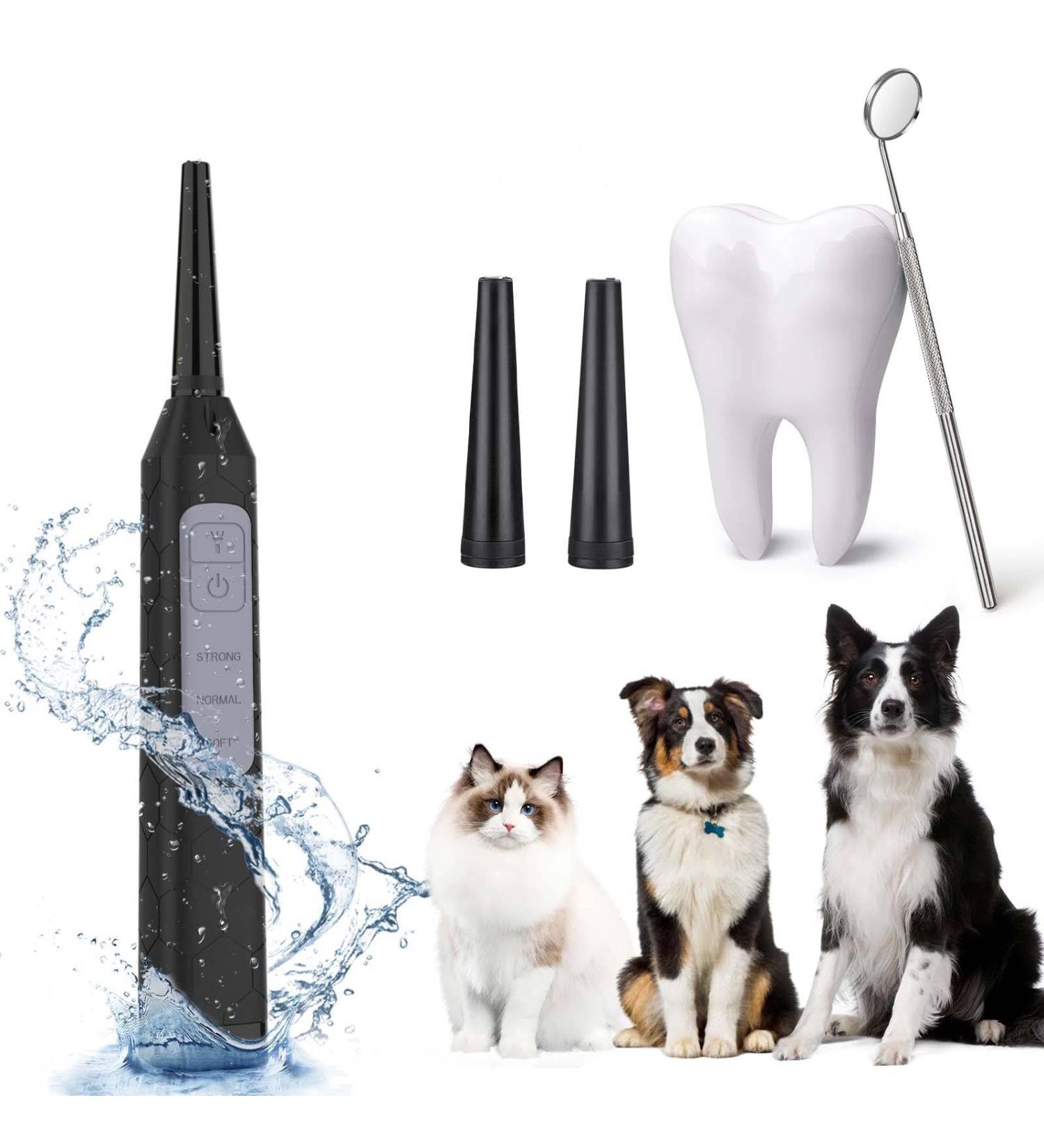 Dog Teeth Cleaning Tools with LED Light 3 Modes Dog Plaque Tartar Remover for Teeth Detachable Teeth Cleaning Kit for Dogs Cats Grey - Buy Online on SooperMarket.com