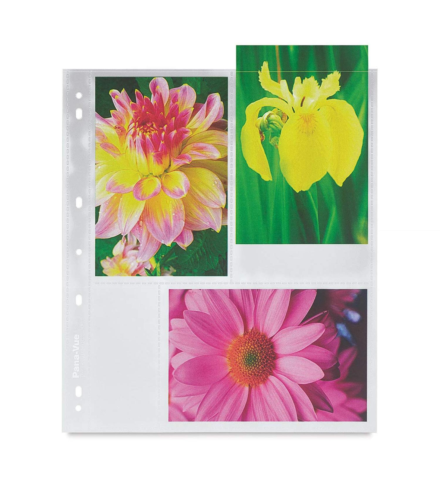 Pana-Vue Archival Pages
