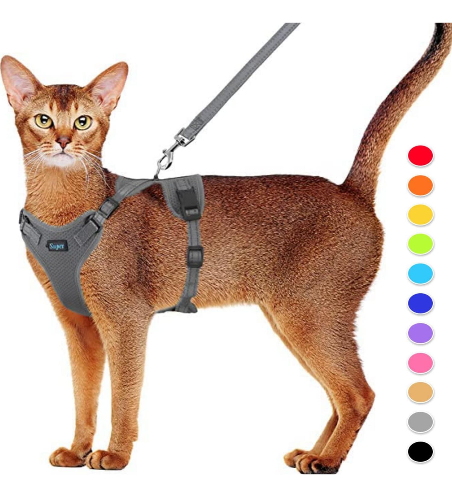 Buy Supet Cat Dishes & Line Set for Fleeing Kittens | Premium Cat Crockery - International Shipping Available - Buy Online on SooperMarket.com
