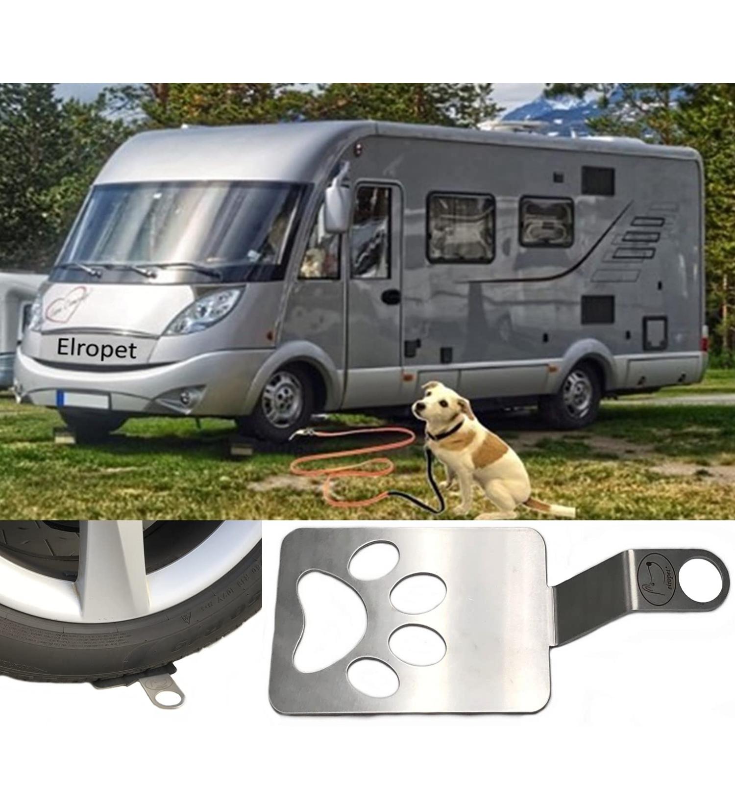 Stainless Steel Dog Holder for Camping | Drivable Ground Anchor for Motorhome & Caravan - Ultimate Stability - Buy Online on SooperMarket.com