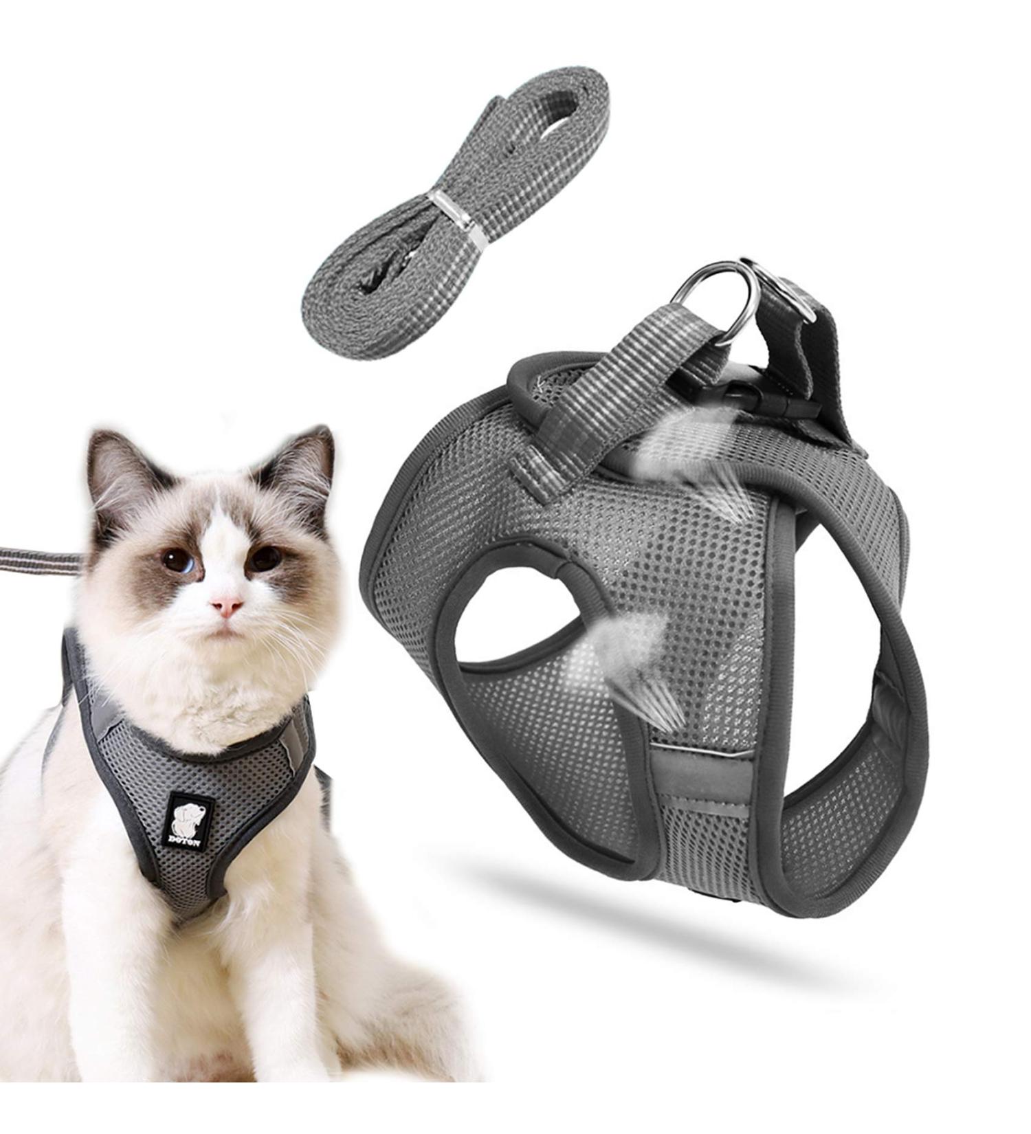 Buy Cat Dishes & Harness Set | Outdoor Leash & Bowls for Cats & Dogs - International Shipping - Buy Online on SooperMarket.com