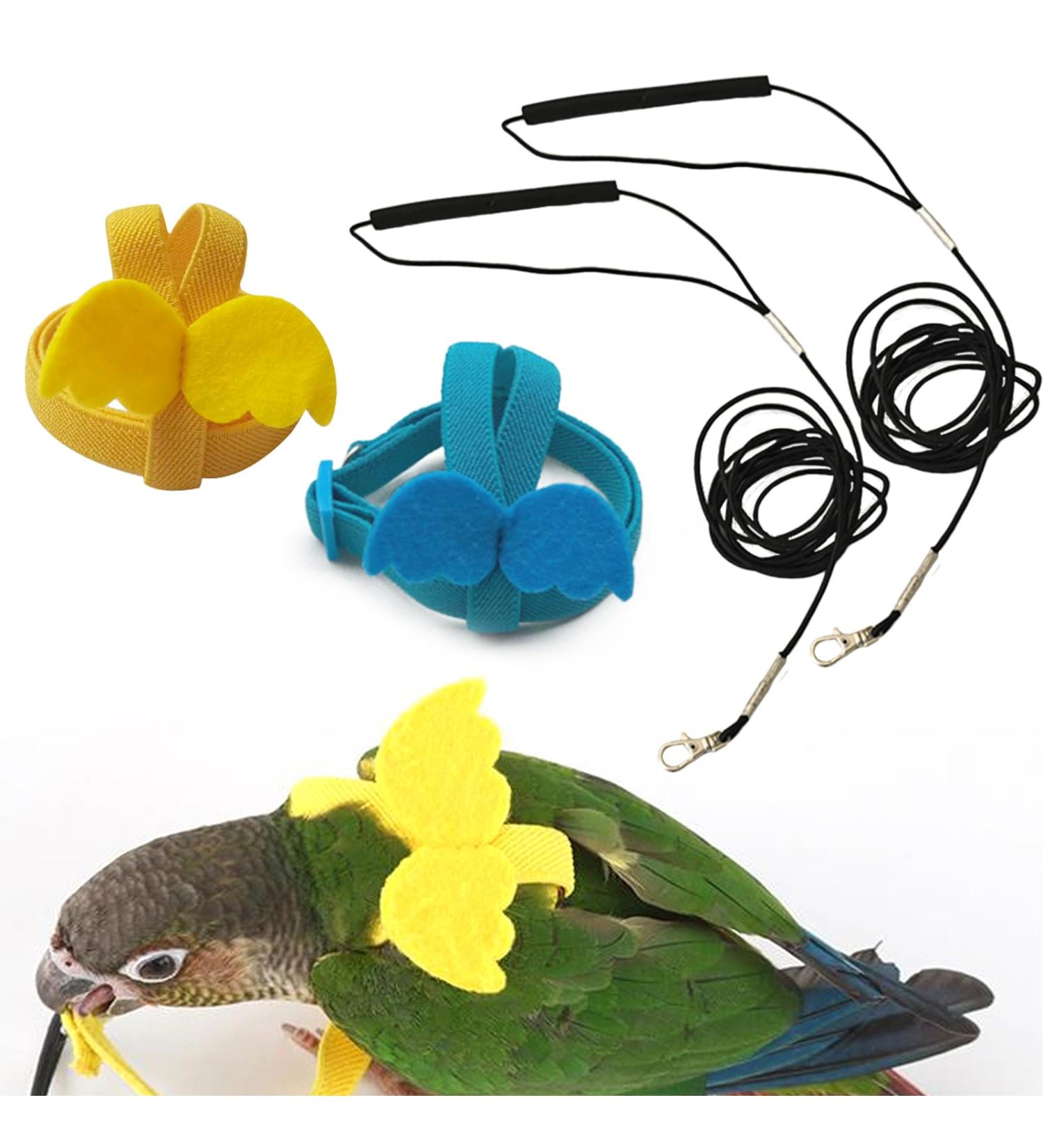 DKDDSSS 2 PCS Bird Harness Pet Parrot Leash Training Supplies Parrot Harness Leash Outdoor Adjustable for Cockatiel Mynah Monk Parakeet Macaw (Blue and Yellow) - Buy Online on SooperMarket.com