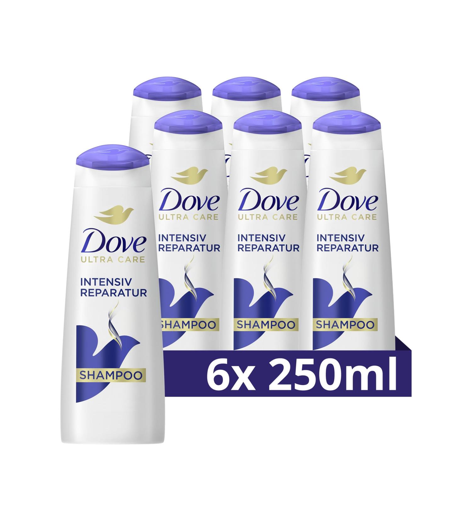 Dove Shampoo Intensive Repair 250ml - Smart Repair System for Damaged Hair (6 Pack) | International Shipping Available - Buy Online on SooperMarket.com