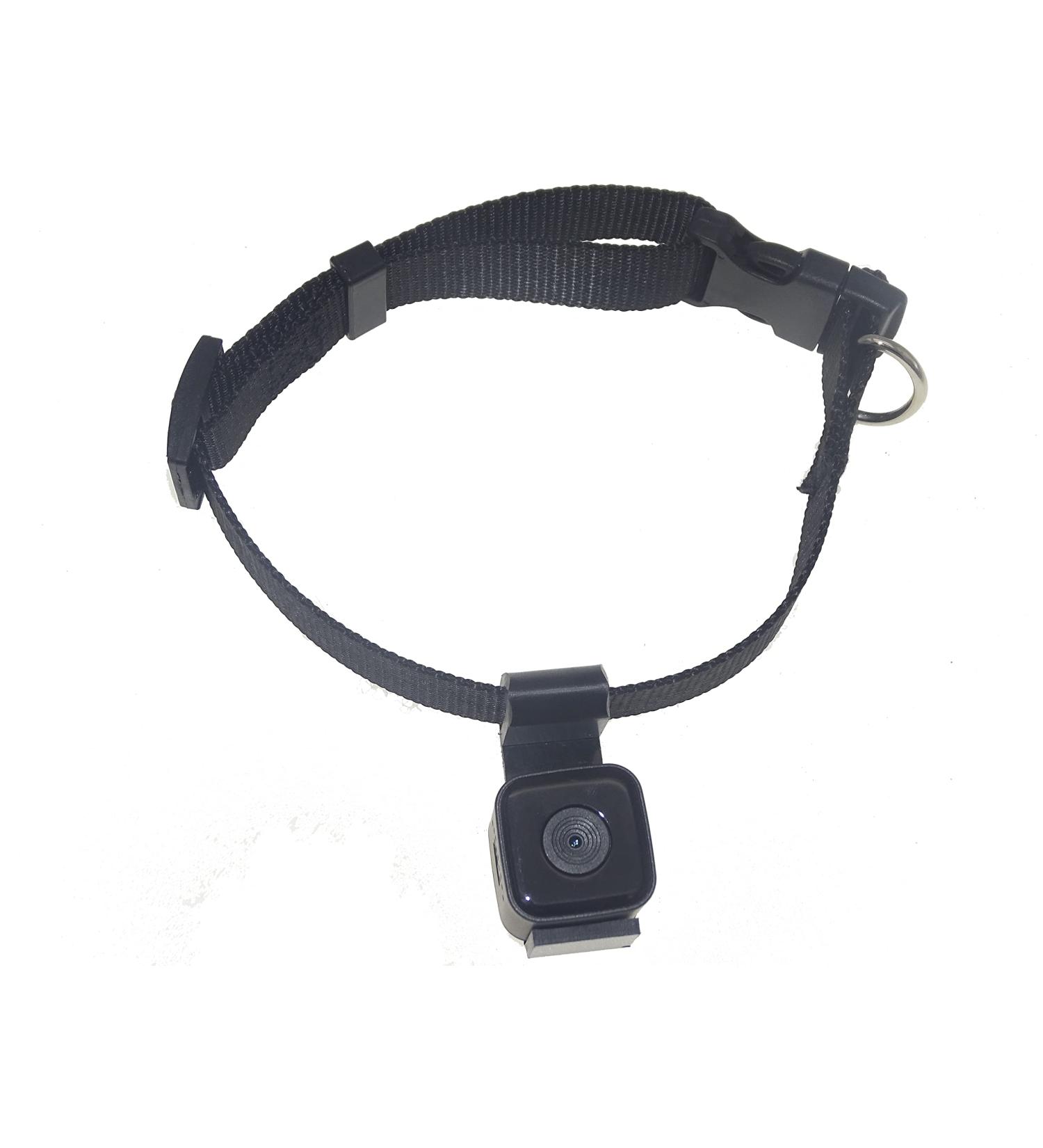 Pet Collar Cam DVR: Video Recorder & Monitor for Dogs, Cats, and Puppies - Buy Online on SooperMarket.com