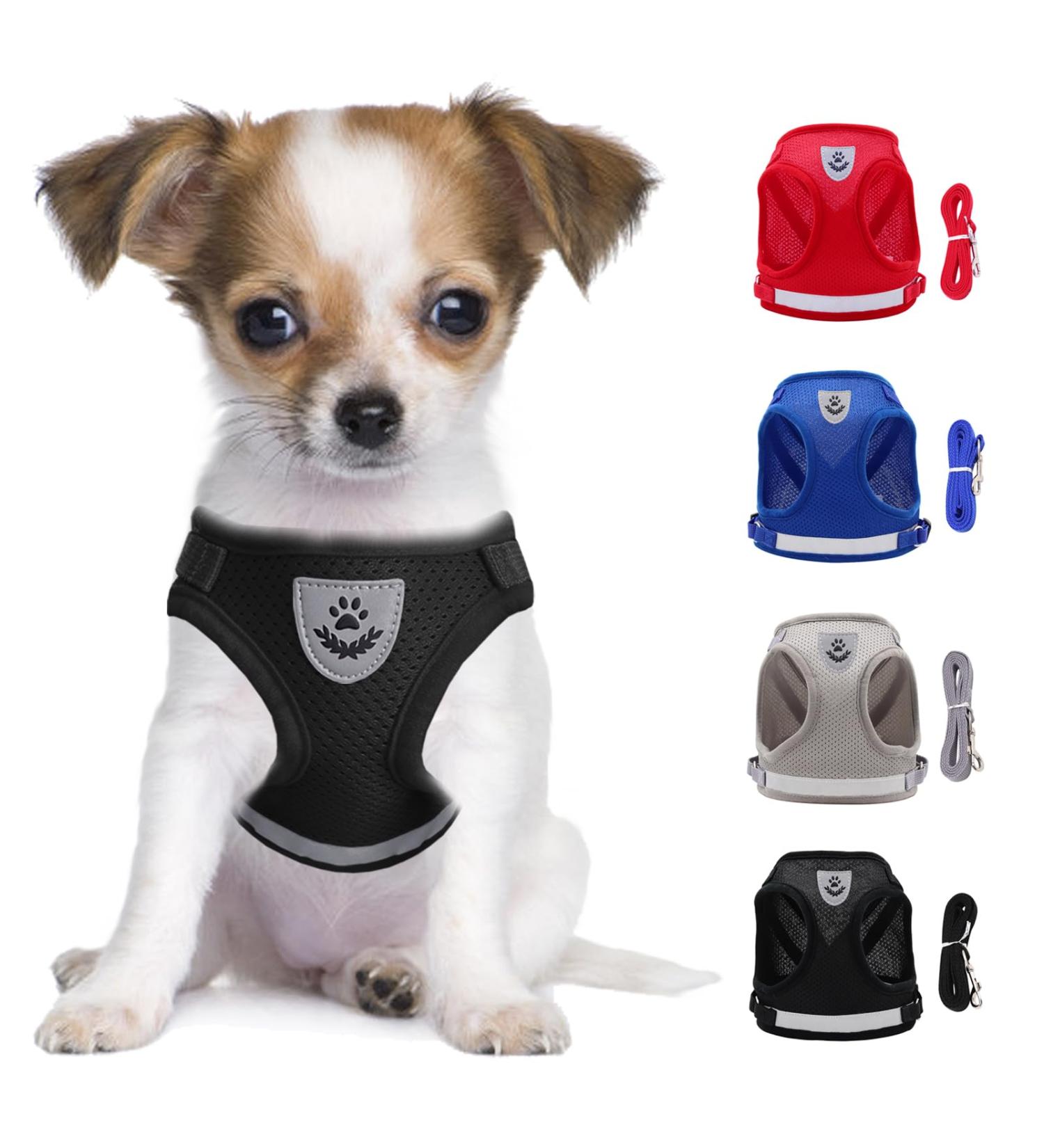 Reflective Soft Padded Dog & Cat Dishes with Leash - Air-Mesh for Small Dogs & Cats (XS 24-27cm) - LOOK ANDE HOUSE - Buy Online on SooperMarket.com