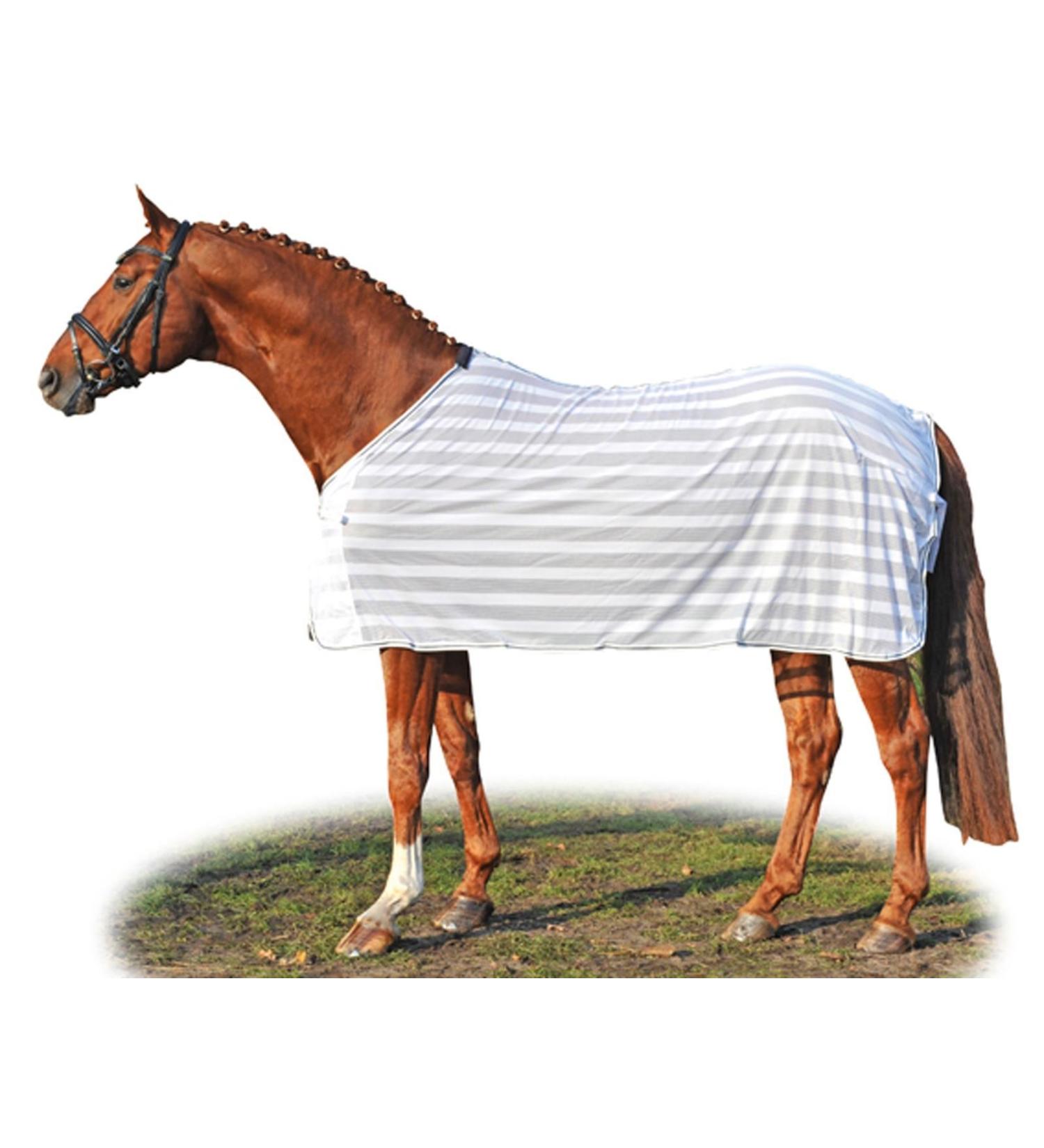 HKM Flying Corner White/Blue 165 - Premium Equestrian Gear for International Shipping - Buy Online on SooperMarket.com