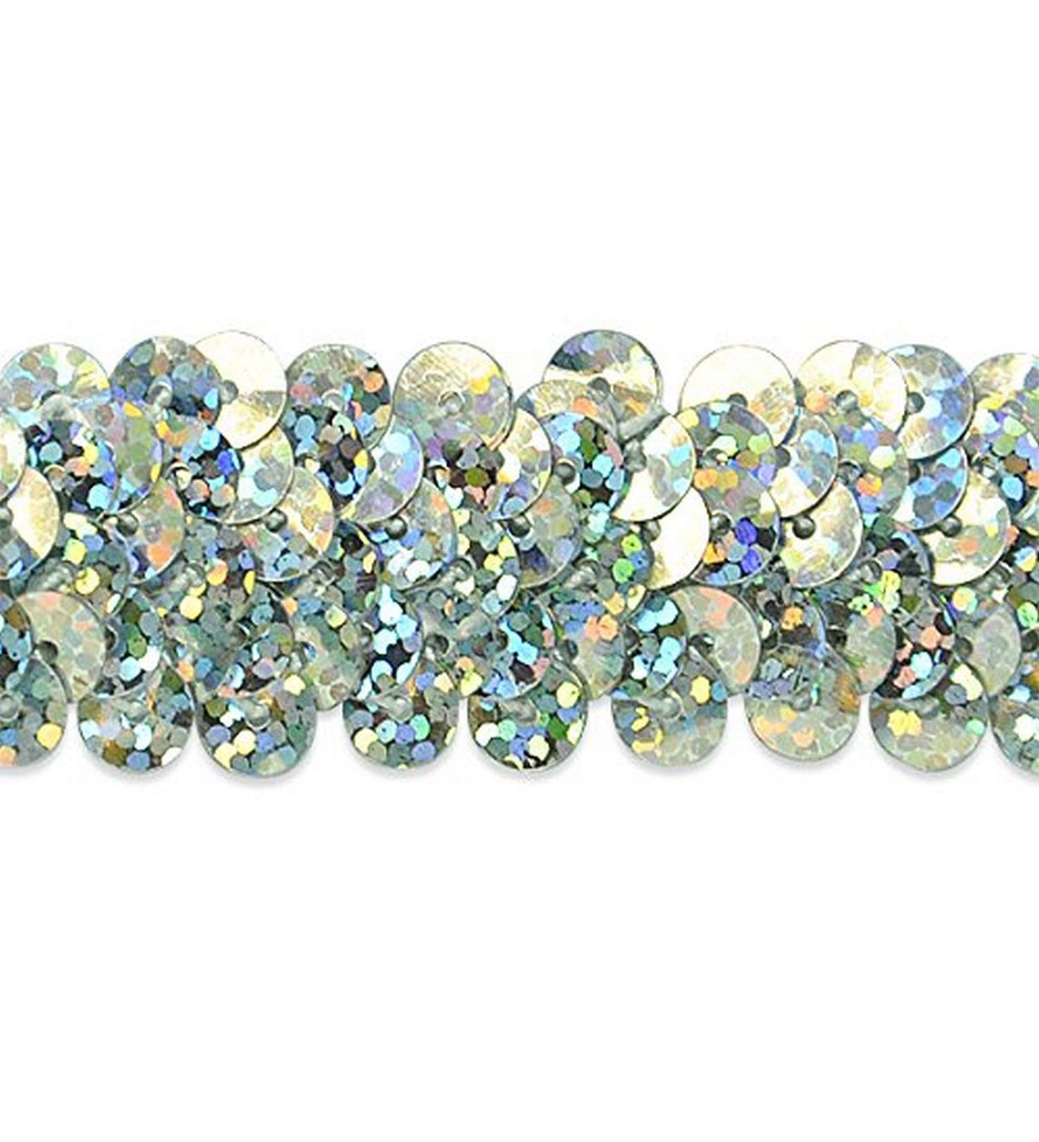Expo International 7/8-Inch 2-Row Starlight Hologram Stretch Sequin Trim Embellishment, 20-Yard, Silver