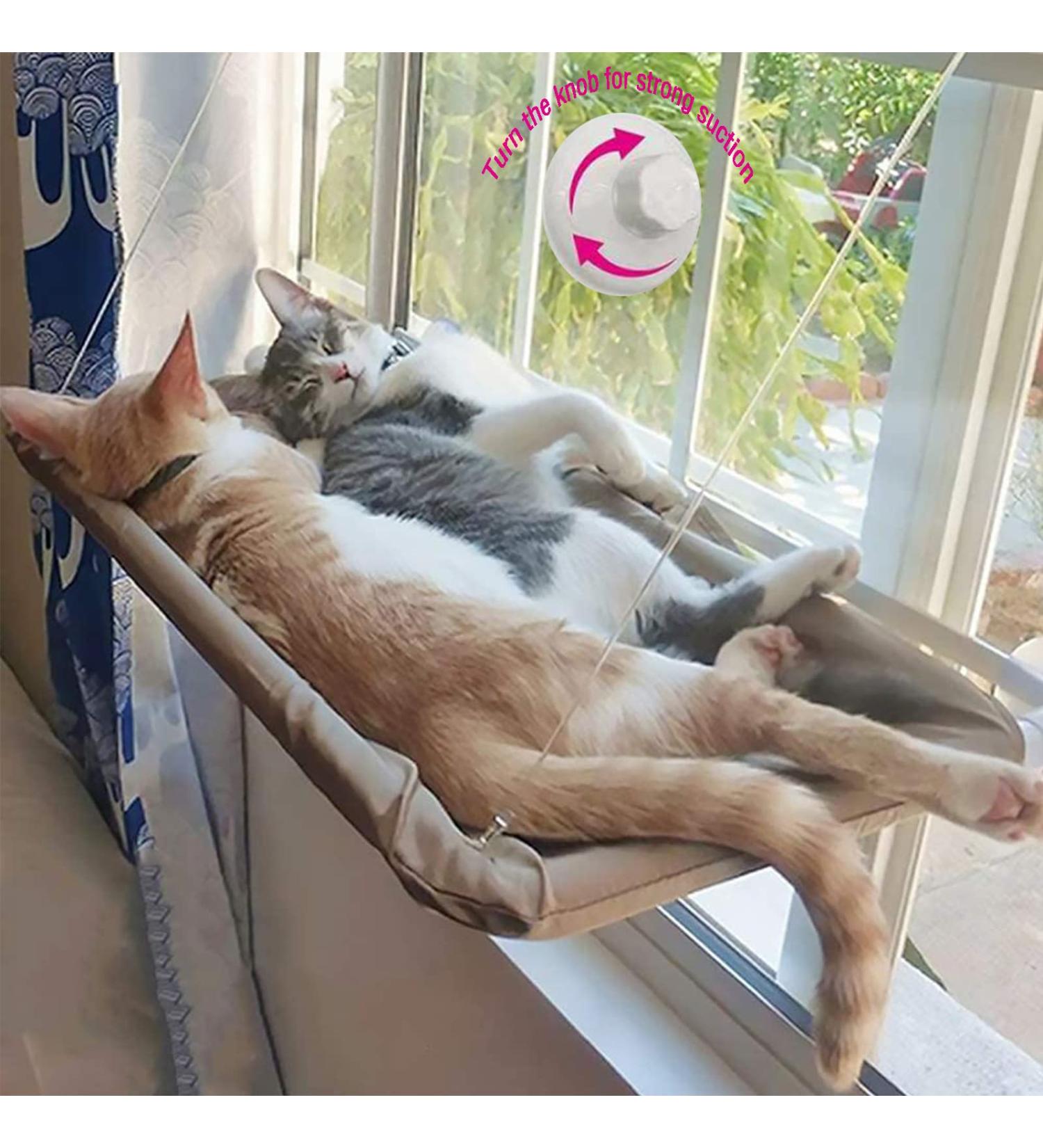 CLKHOWL Large Cat Window Perch Hammock Seat - Safety Resting Bed for Indoor Cats | Heavy-Duty Suction Cups, Breathable Mesh, Washable, Durable Frame - Buy Online on SooperMarket.com