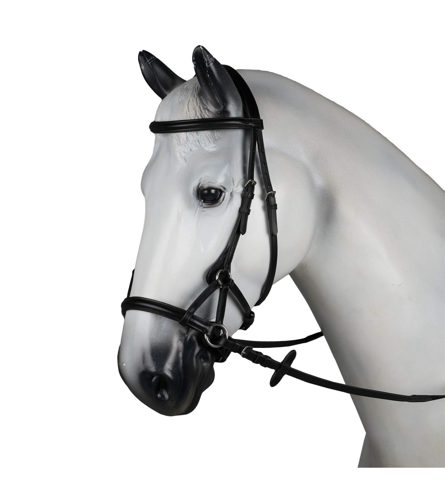 Horze Denver Bitless Bridle - Black Cob Size | Shop Now - Buy Online on SooperMarket.com