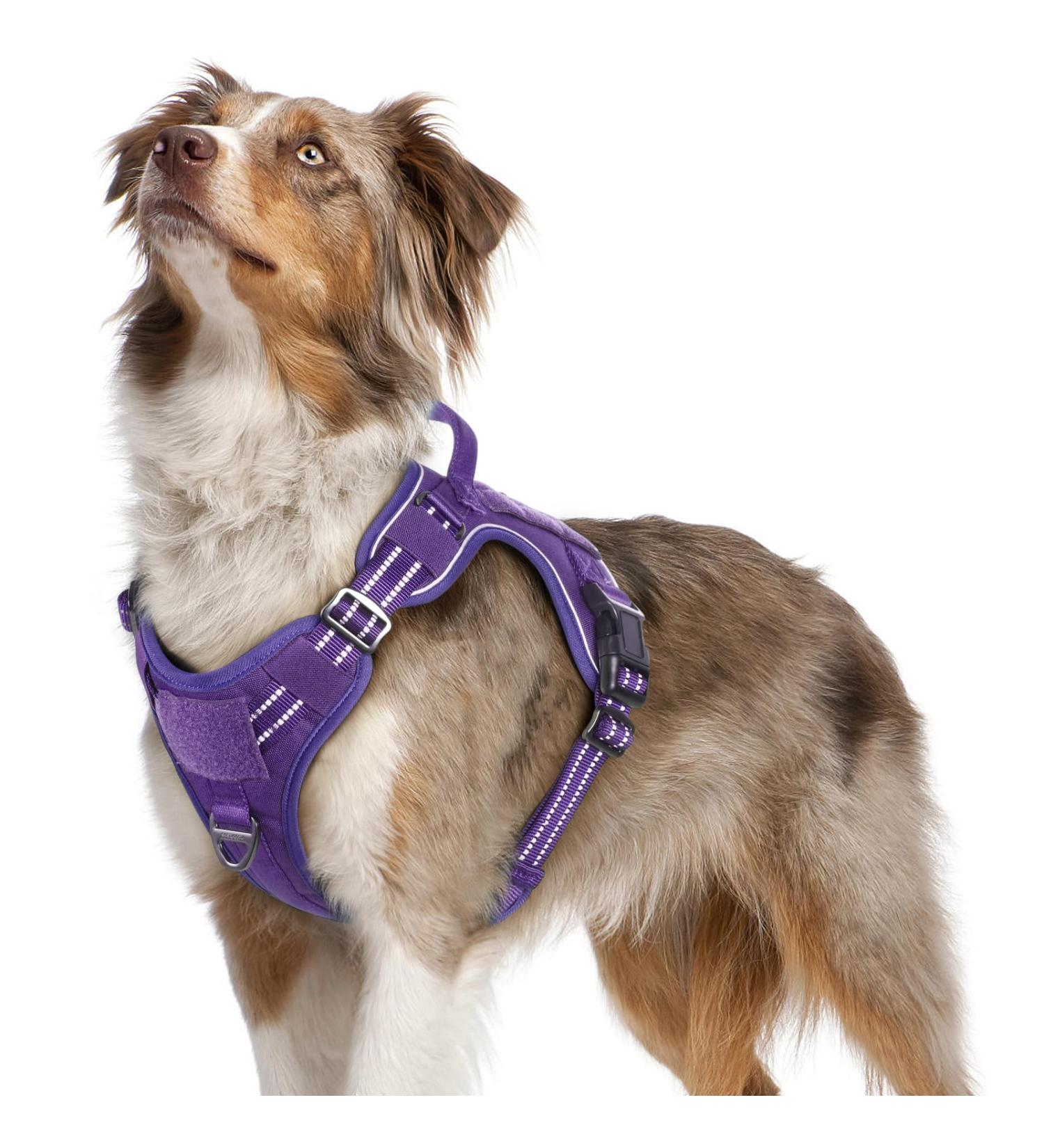 Rabbitgoo Adjustable Dog Harness for Medium Dogs - Durable Tactical Wear-Resistant with Metal Buckles & Handles - Perfect for Hiking (Purple M) - Buy Online on SooperMarket.com