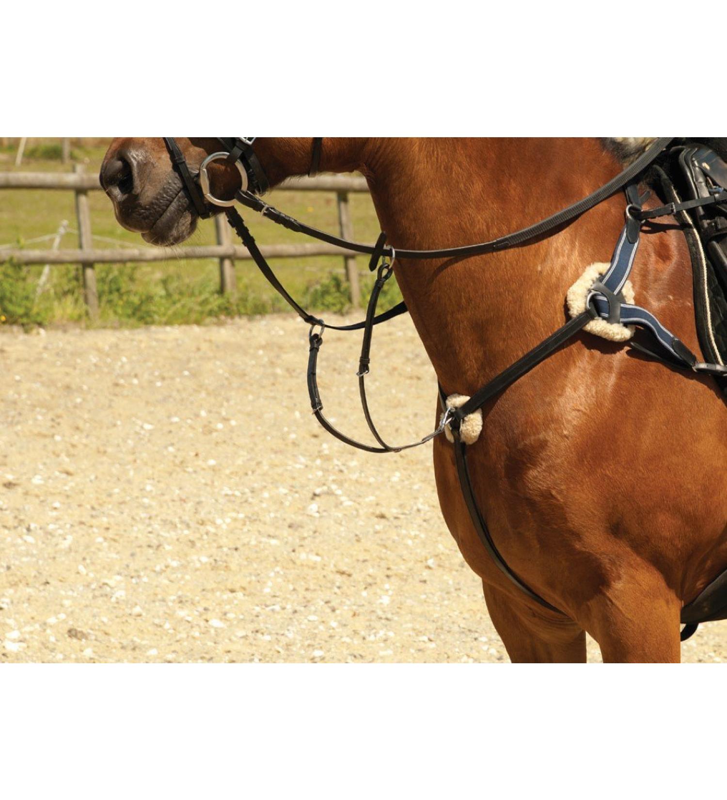 Windsor Equestrian Horses Leather 5 Point Breastplate Black Full