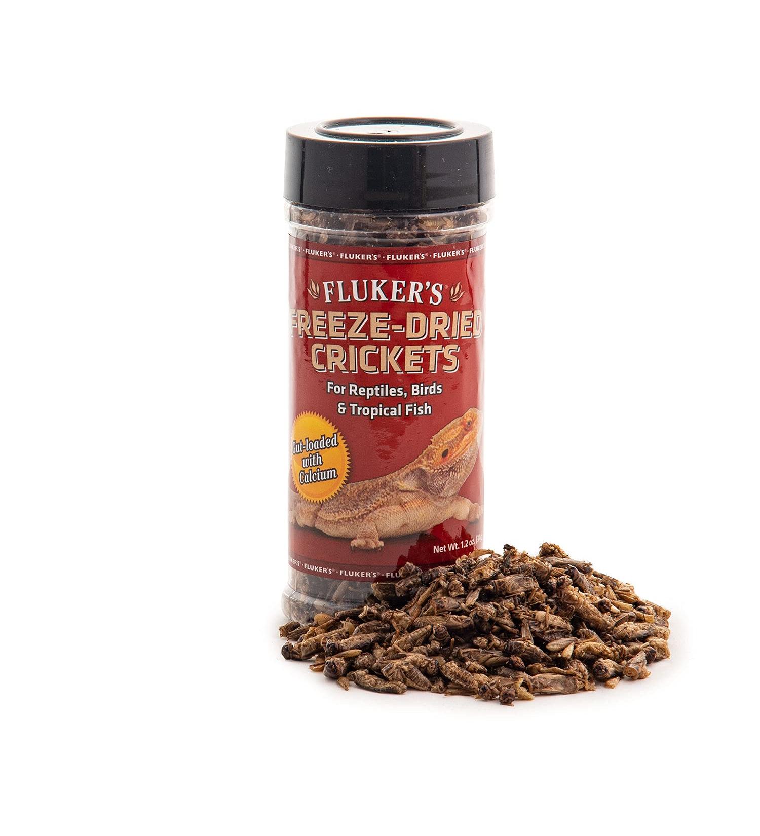 Fluker's Freeze Dried Insects for Reptiles, Birds, Fish & Amphibians - Crickets - Buy Online on SooperMarket.com