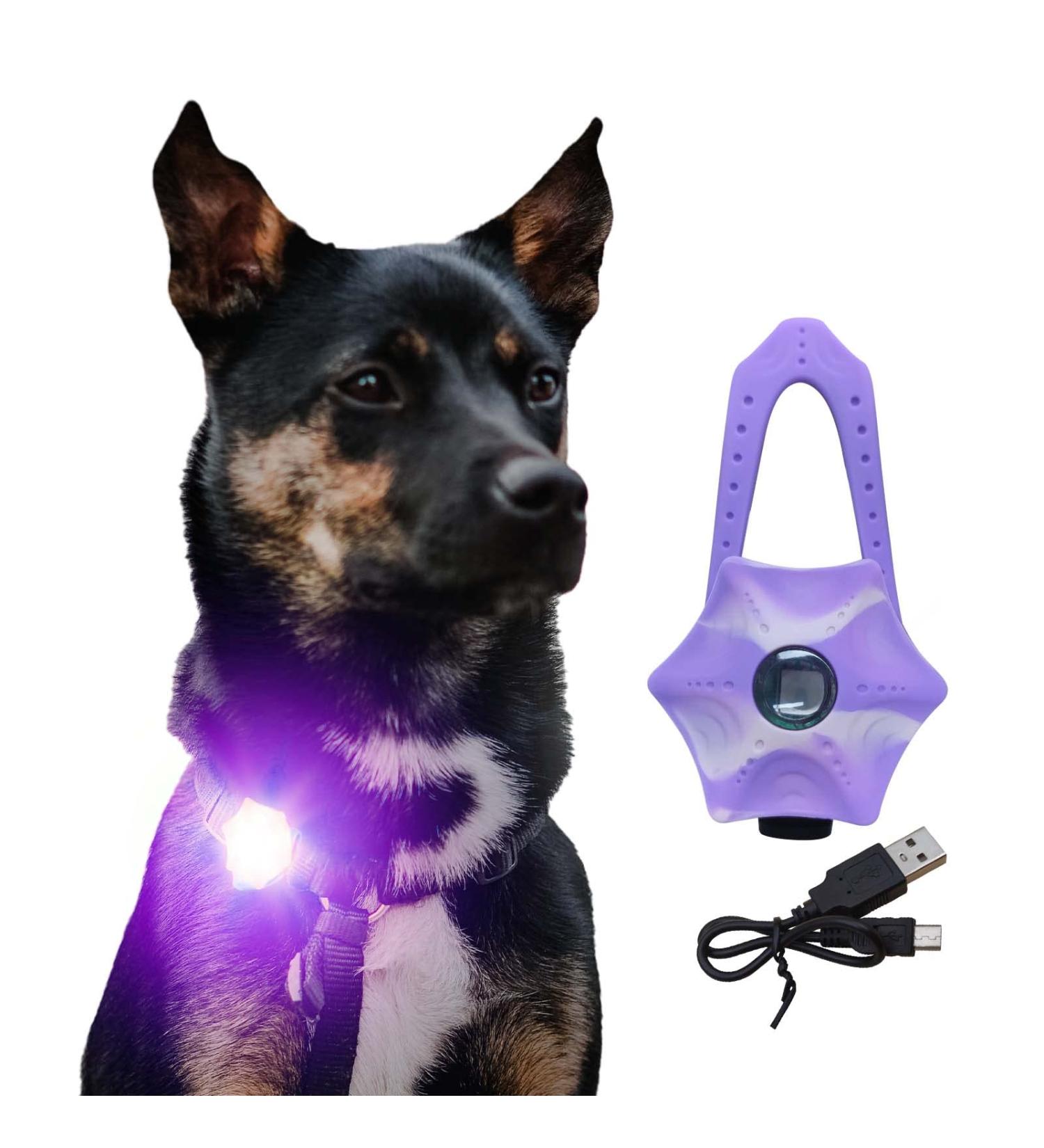 LaRoo Safety LED-Flashing Light for Dogs Cats LED-Light Pendant Keyring Clip on Dog Collar Charms Blinker Light Waterproof Safety Light for Walking the Dog and Outdoor Sports rechargable Purple-1 - Buy Online on SooperMarket.com