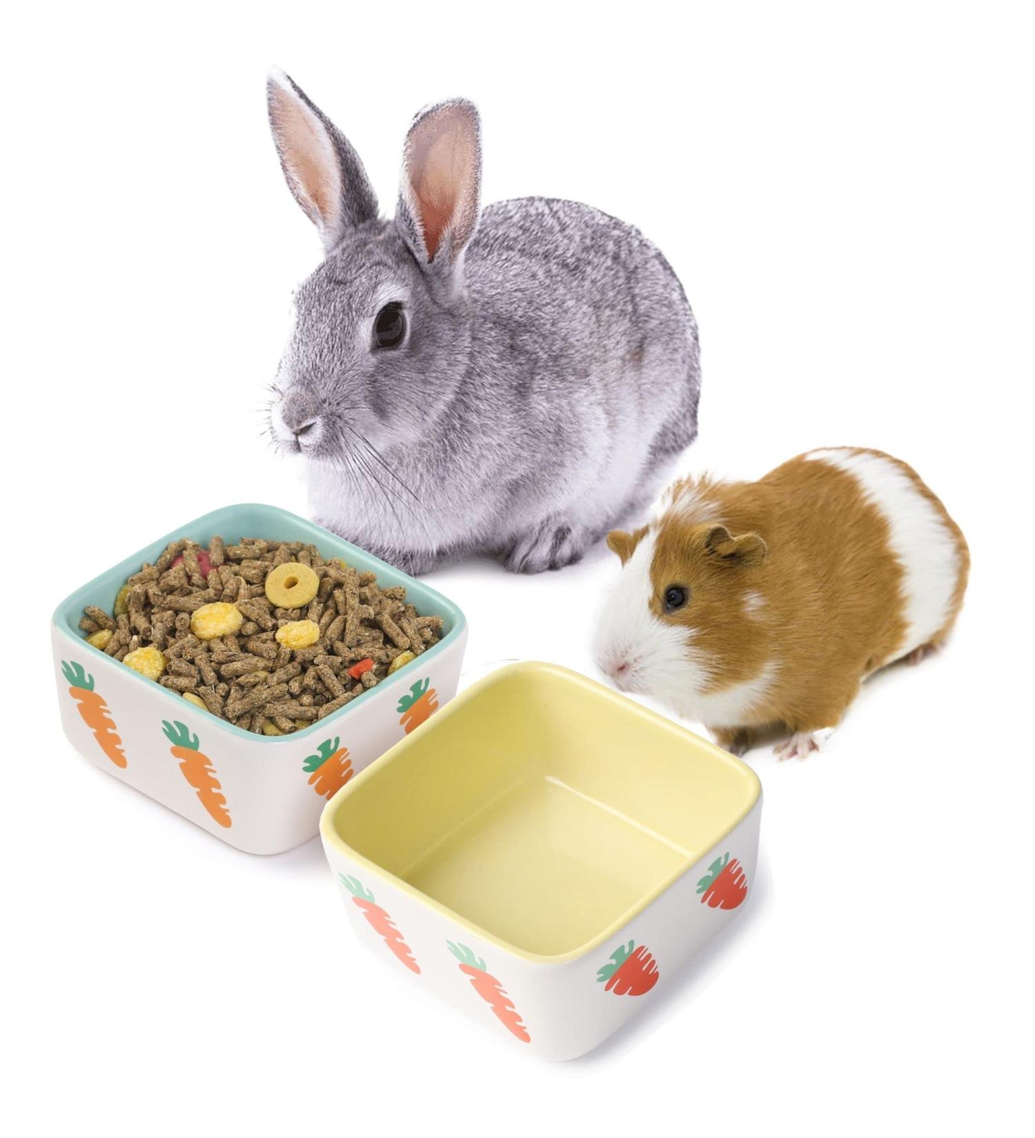 JanYoo Hamster Food Bowl Guinea Pig Feeder Accessories Ceramic for Cage with Water Supplies for Bunny Blue Yellow 150 ml (2 Pack) C-Blue+Yellow Pack of 2 - Buy Online on SooperMarket.com