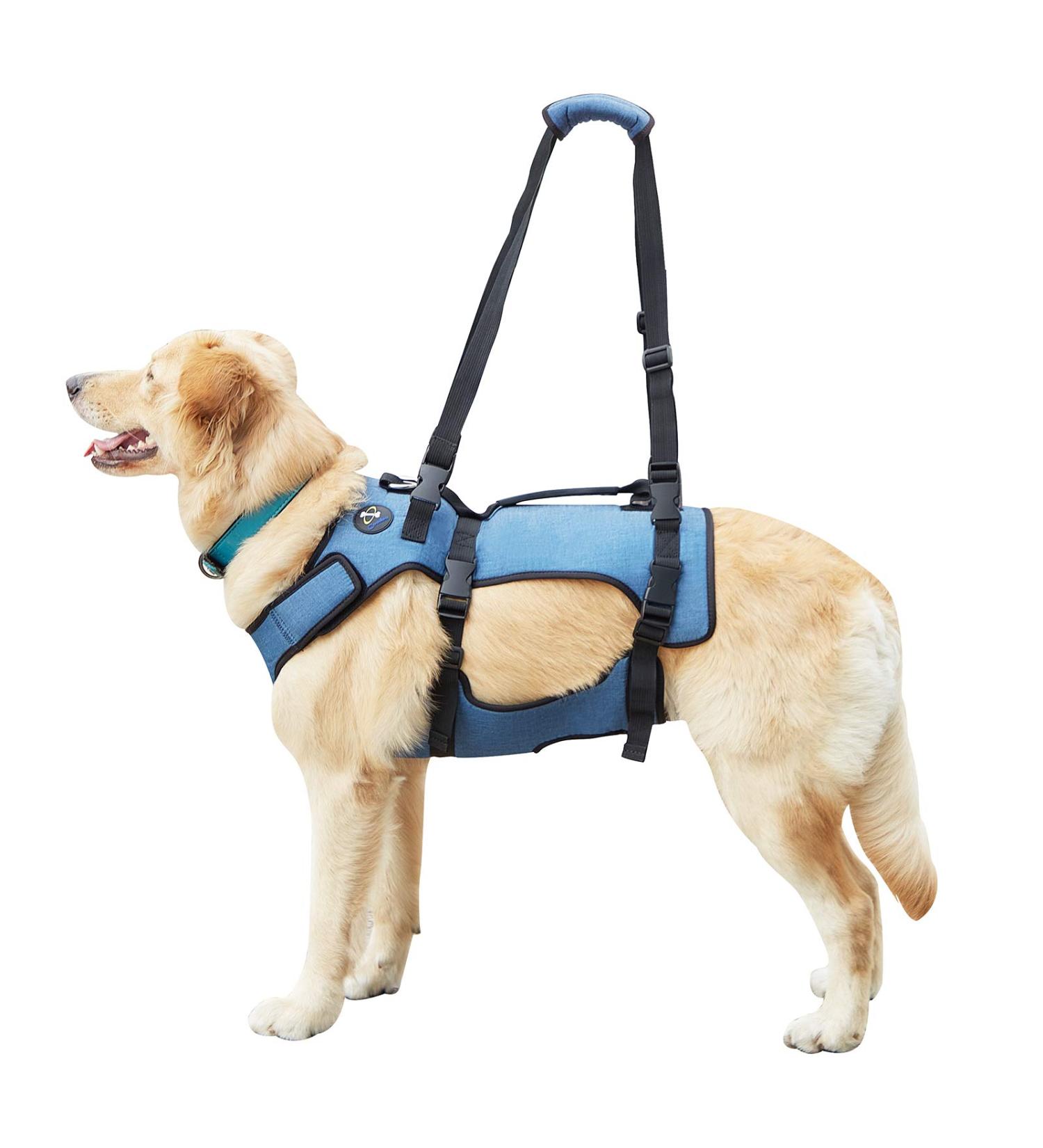 COODEO Dog Lifting Harness - Adjustable Breathable Support for Rehabilitation | Ideal for Old & Disabled Pets - Blue - International Shipping - Buy Online on SooperMarket.com