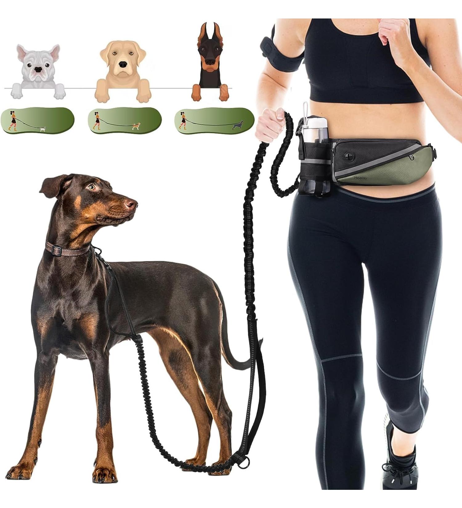 Premium Dog Jogging Lines & Heelay Belt - Reflective Leash for Large & Small Dogs - Comfortable Dual Handle Design in Army Green - Buy Online on SooperMarket.com