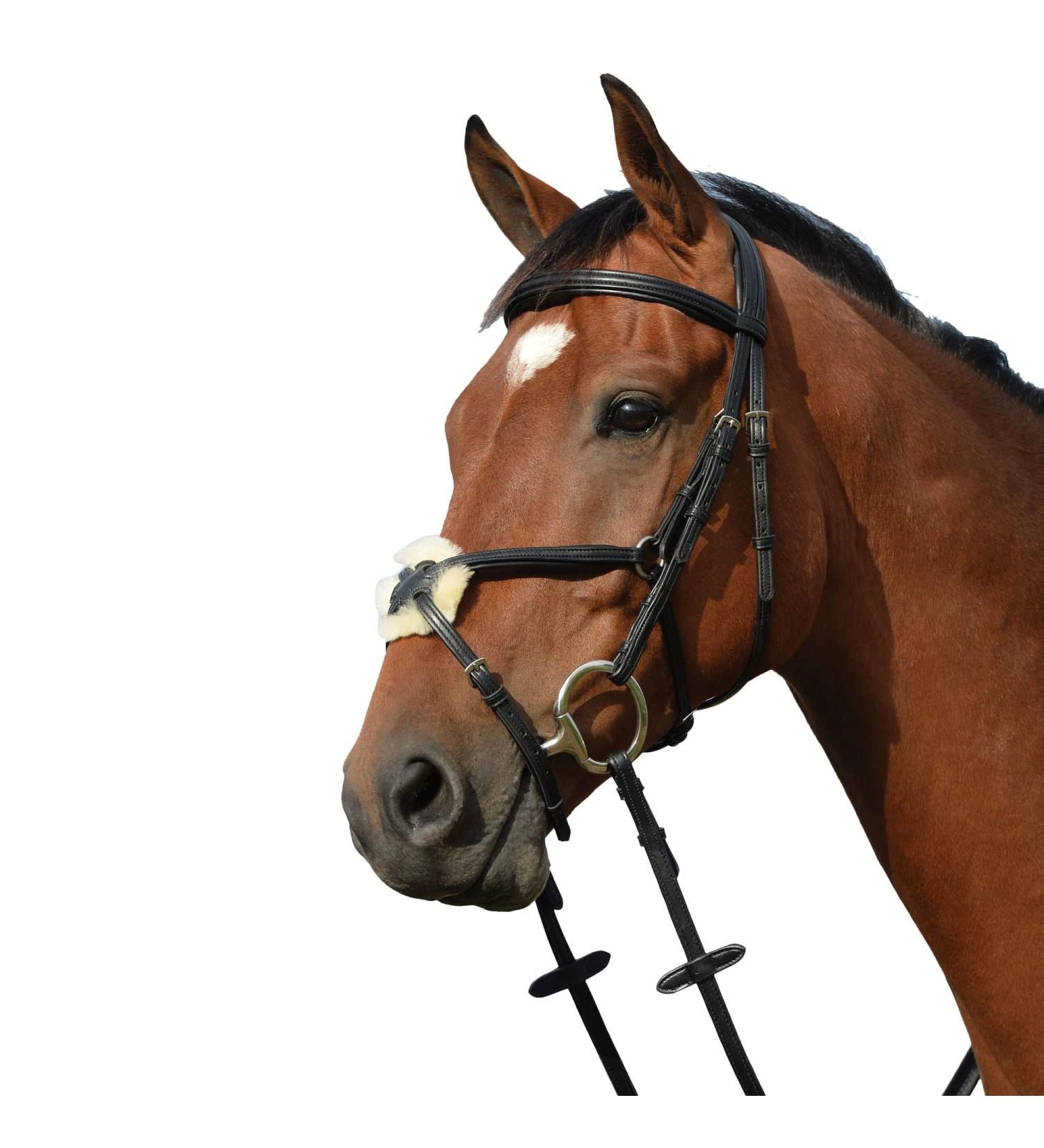 Collegiate Syntovia+ Padded Raised Grackle Bridle Black Cob