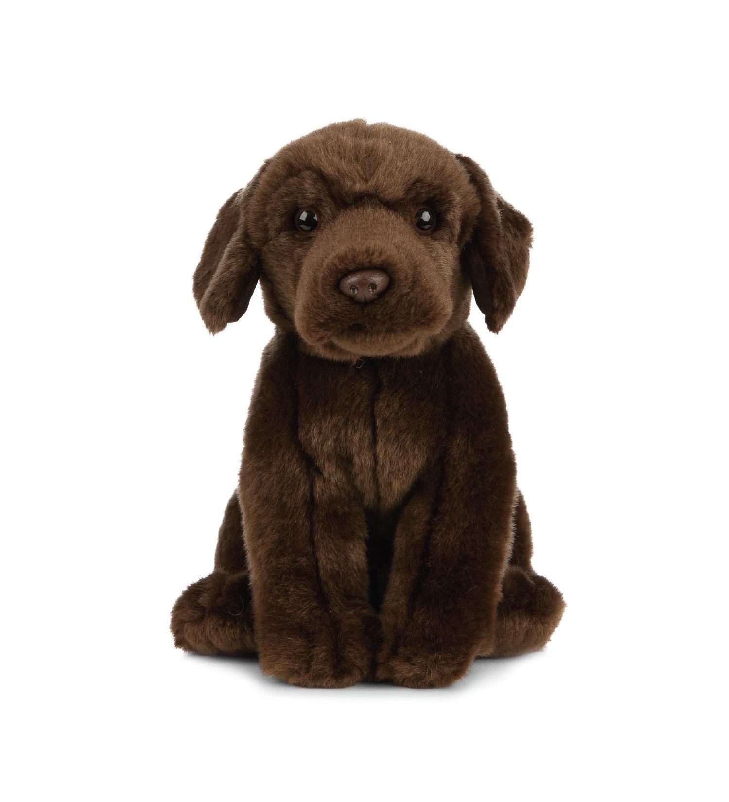 Living Nature 20cm Brown Chocolate Labrador Soft Toy - Realistic Stuffed Dog - Buy Online on SooperMarket.com