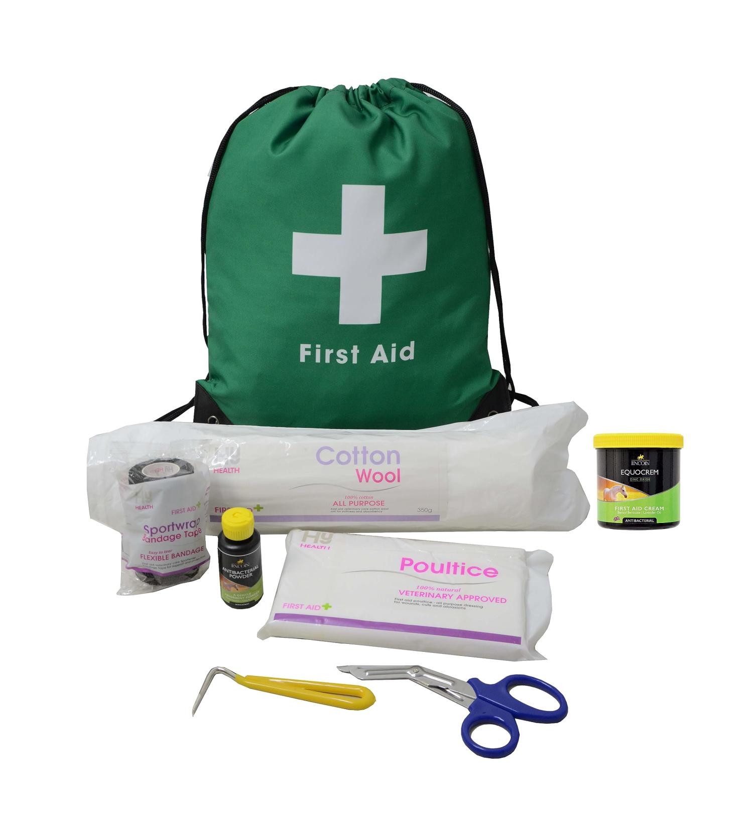 LINCOLN First Aid Kit For Horses and Ponies comes in a handy Travel Bag