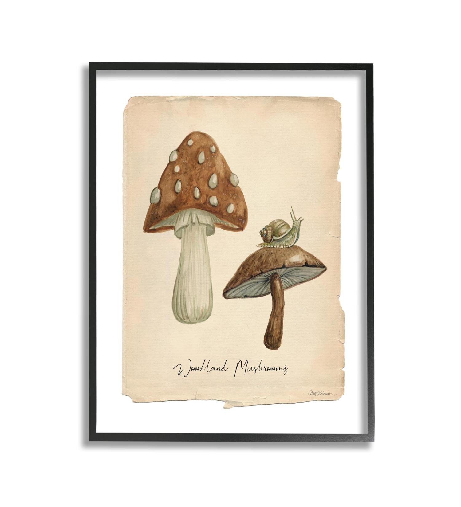 Stupell Industries Woodland Mushrooms & Snail Framed Giclee Art by Carol Robinson 11 x 14 Black Framed - Buy Online on SooperMarket.com
