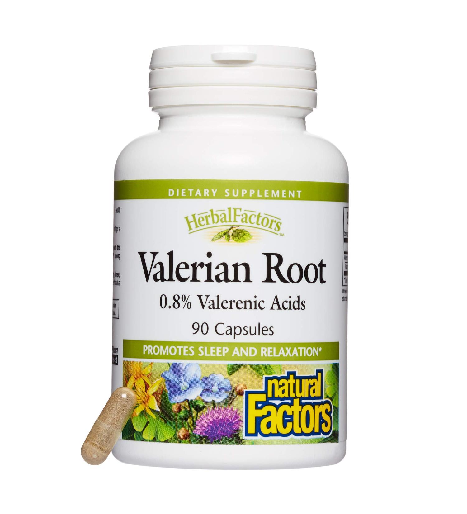 Valerian Root Extract by Natural Factors - 90 capsules - Buy Online on SooperMarket.com