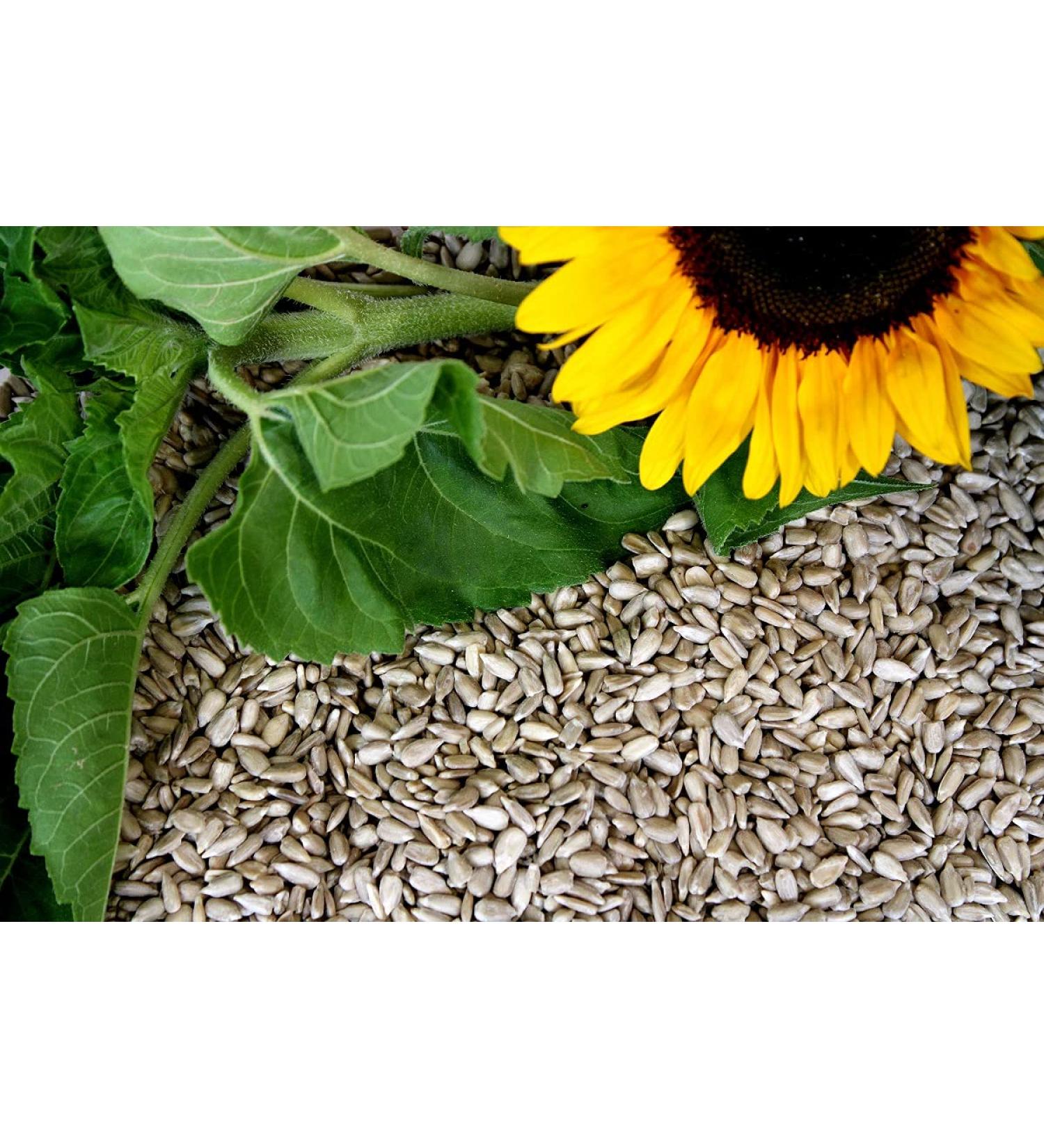 25 kg sunflower seeds peeled New harvest 2023 from feed farmer
